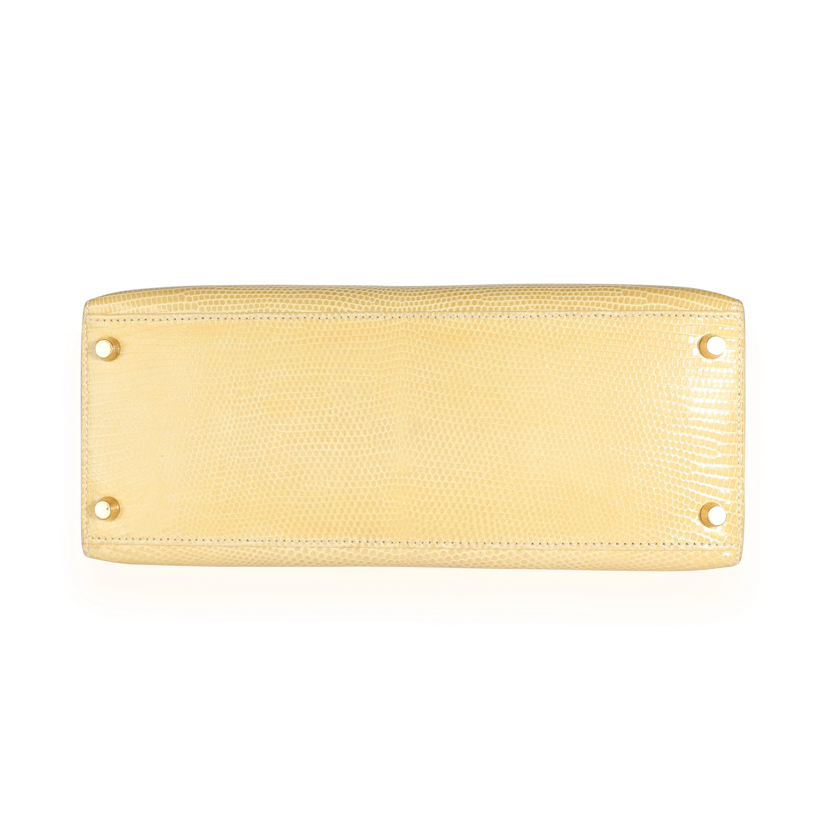 Casse Shiny Lizard Sellier Kelly 28 GHW - Image 5