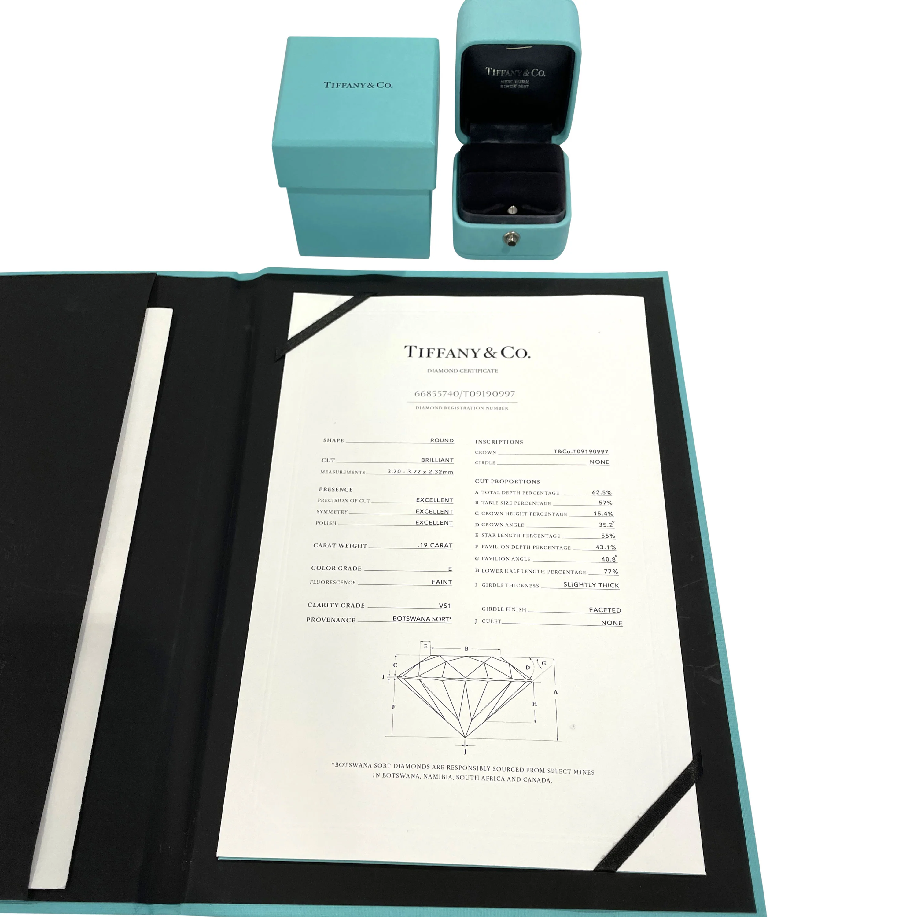 Tiffany & Co. Harmony Diamond Engagement Ring in Platinum E VS1 0.19 CTW - Image 5