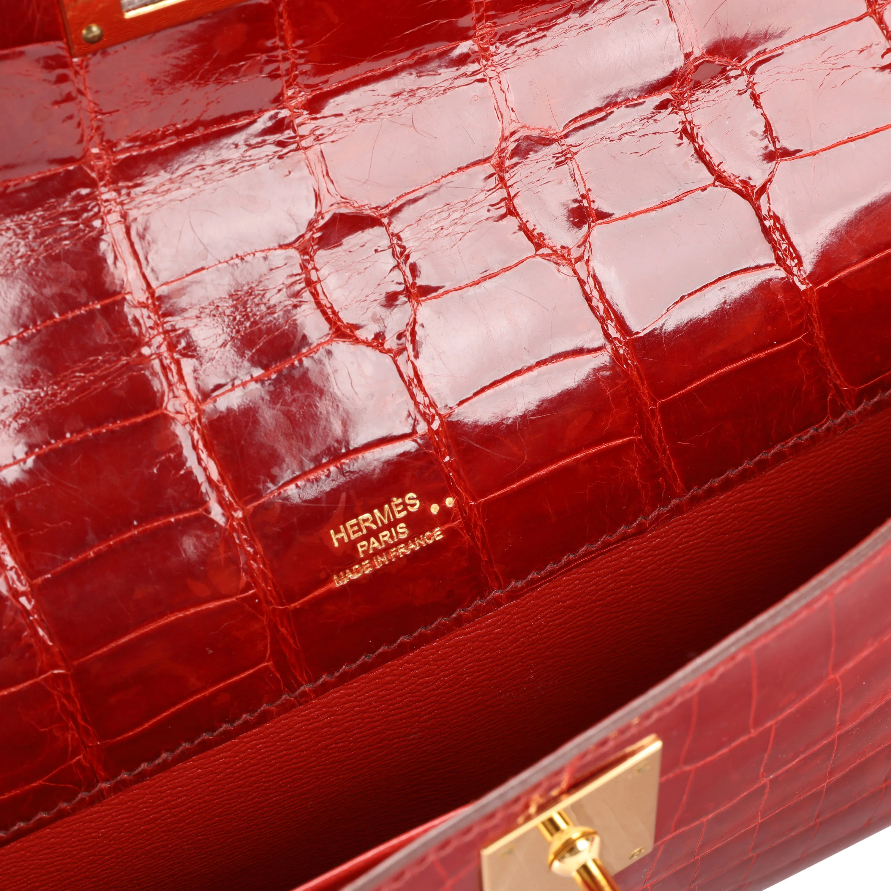 Sanguine Shiny Niloticus Crocodile Kelly Cut GHW - Image 9