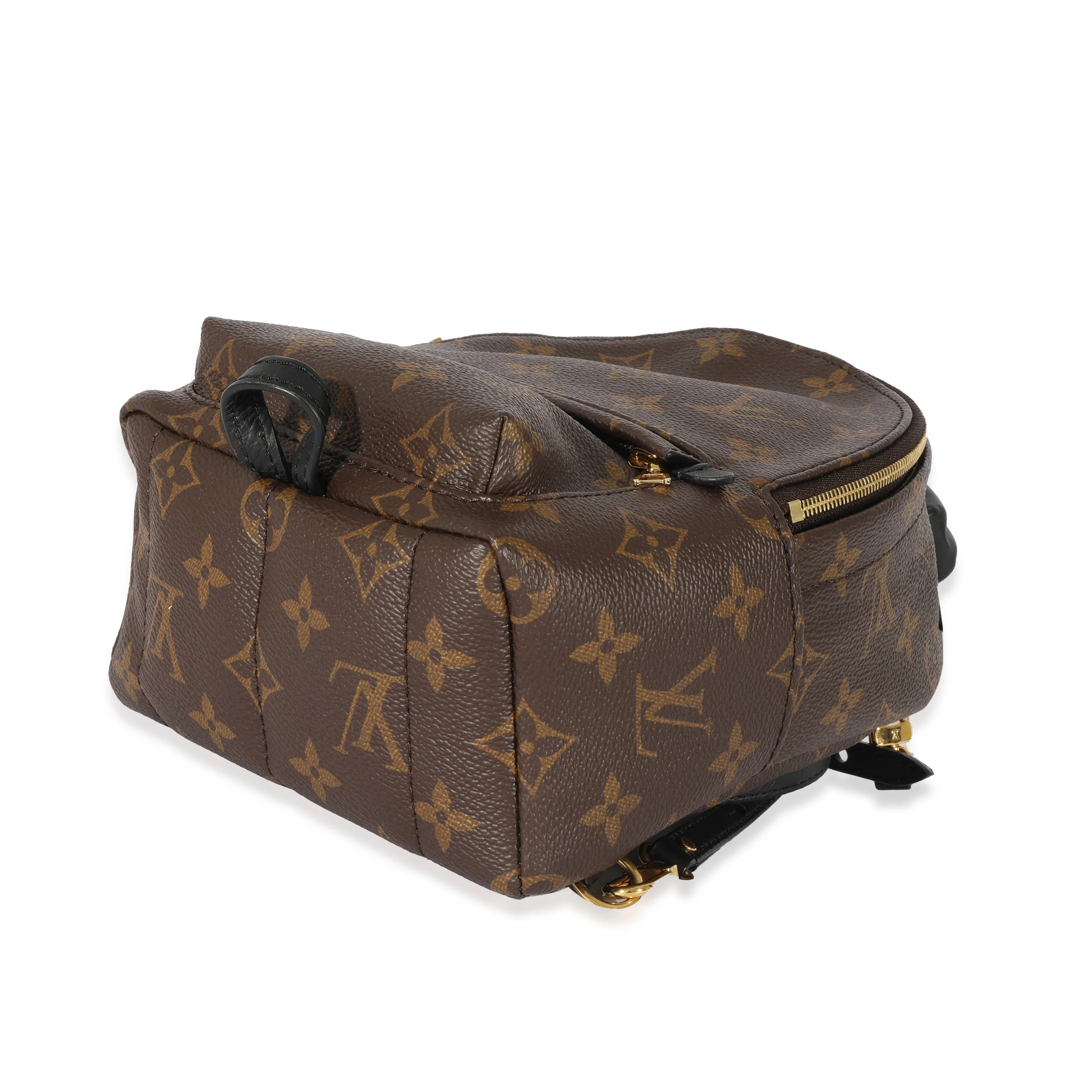 Louis Vuitton Monogram Canvas Palm Springs Mini Backpack - Image 6