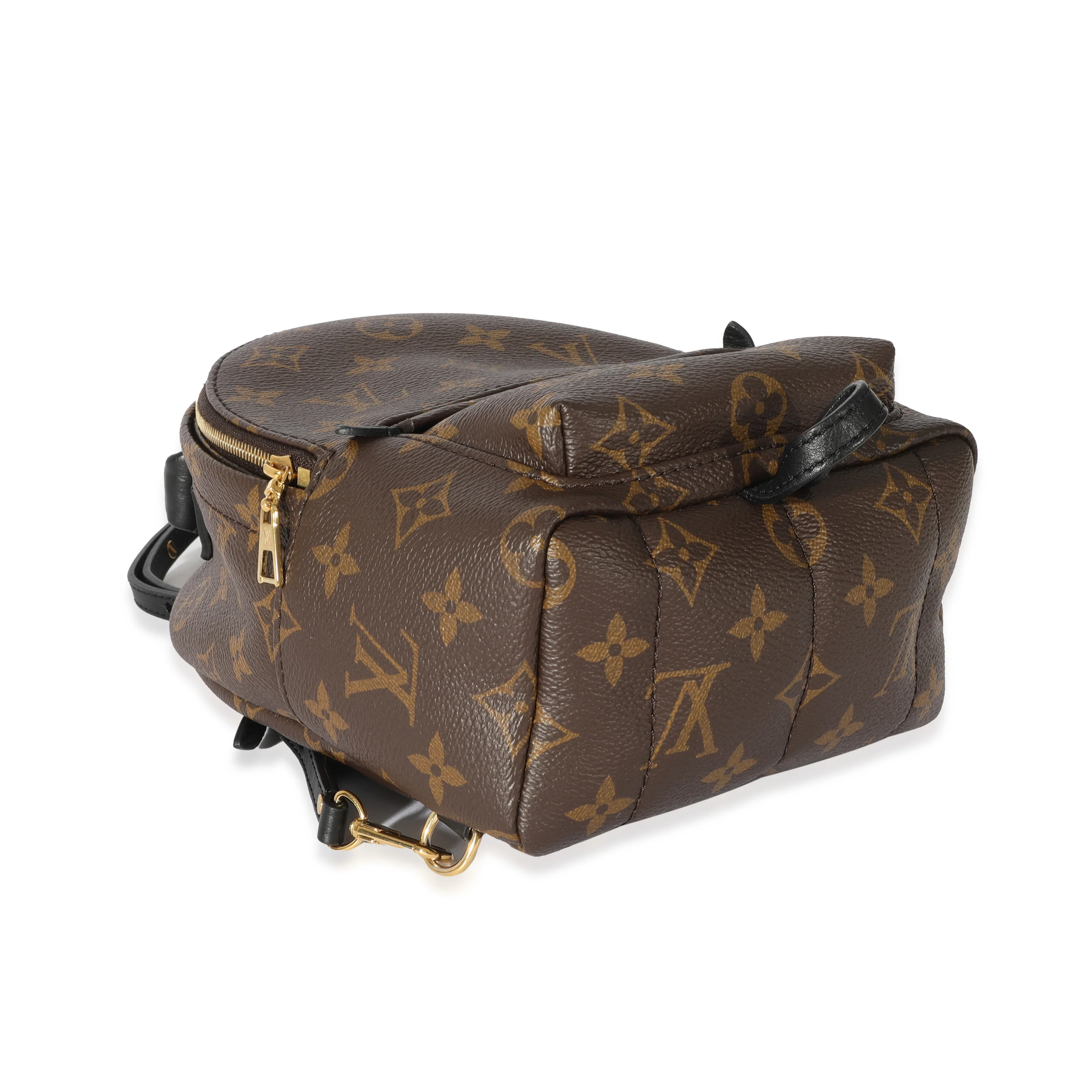 Louis Vuitton Monogram Mini Palm Spring Backpack - Image 4