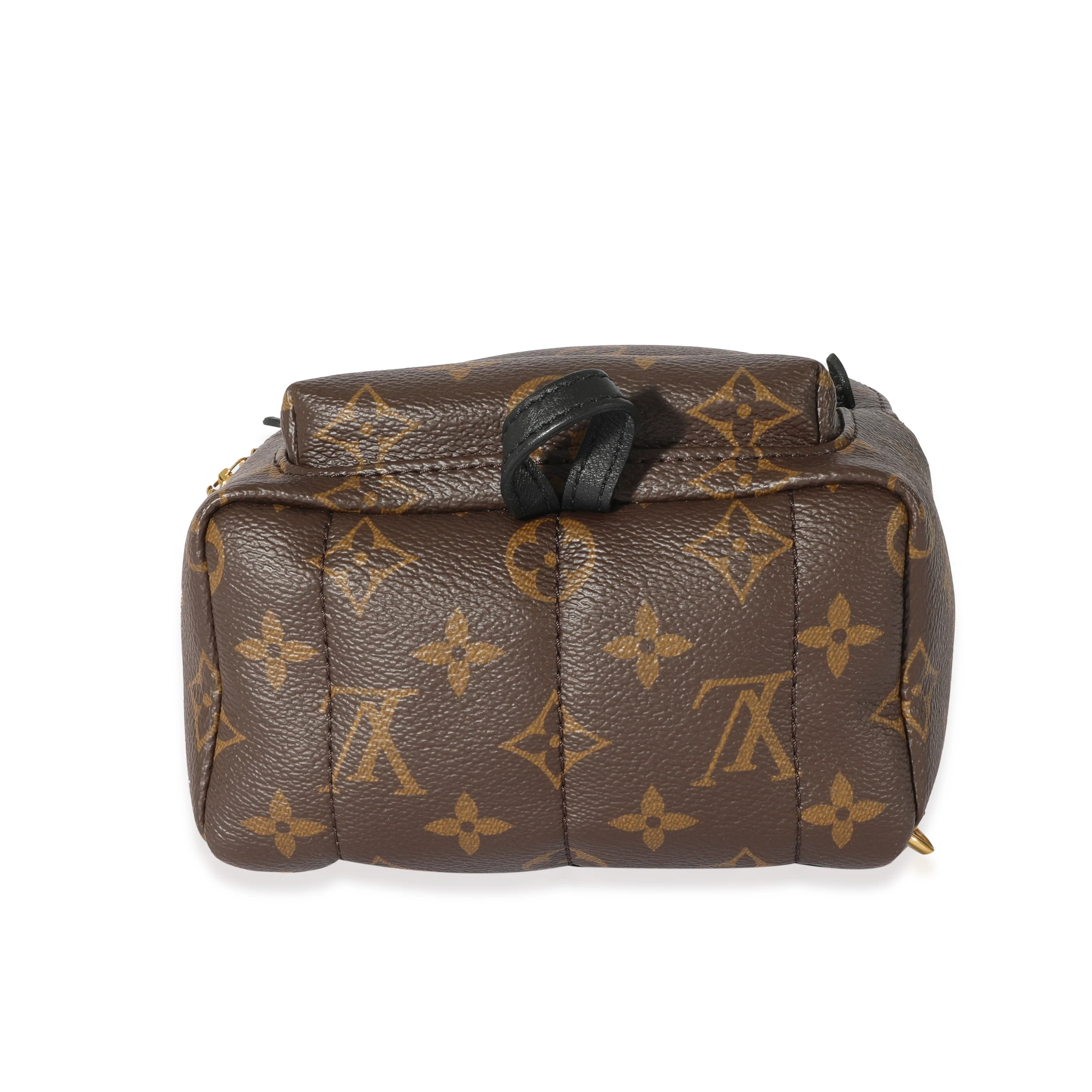 Louis Vuitton Monogram Mini Palm Spring Backpack - Image 5