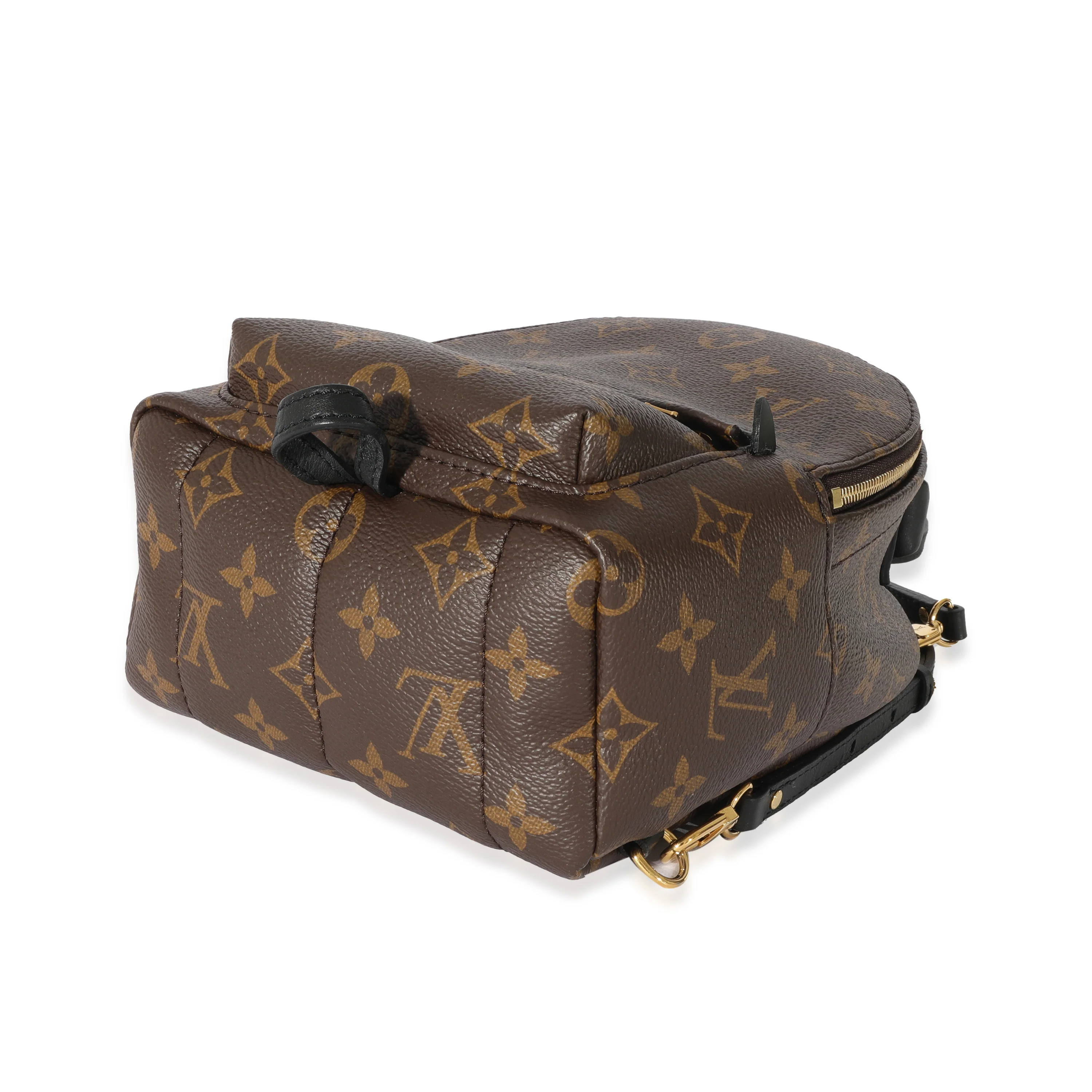 Louis Vuitton Monogram Mini Palm Spring Backpack - Image 6