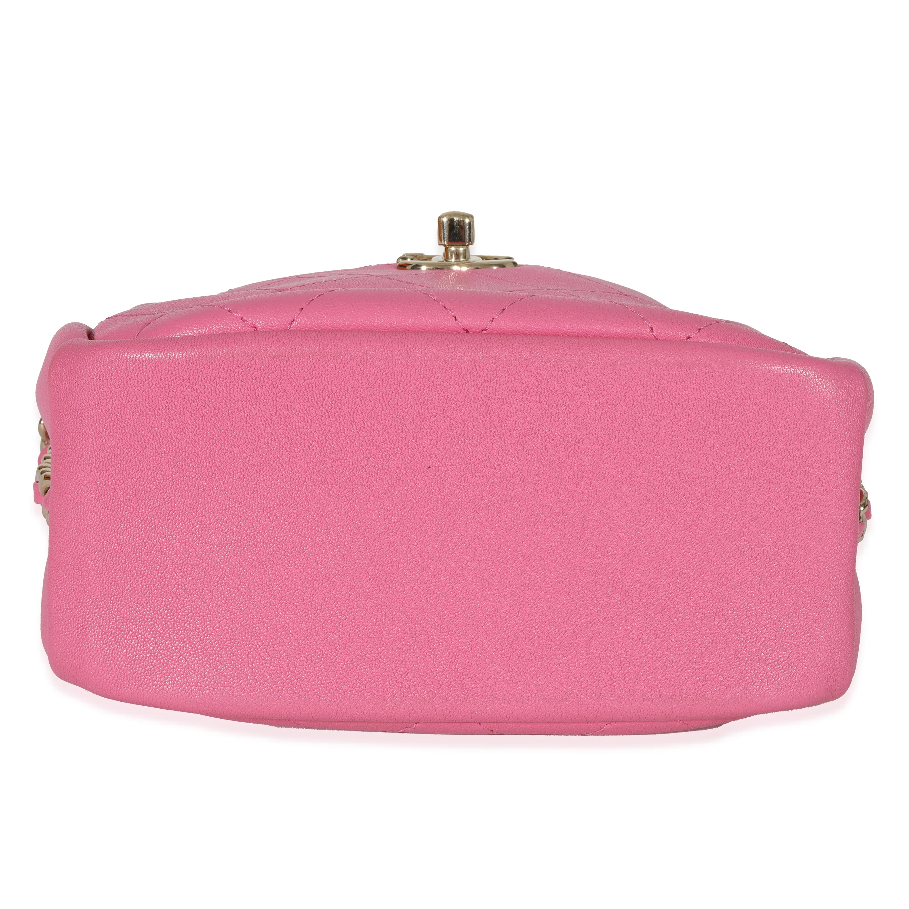 Chanel Pink Goatskin Casual Trip North South Camera Case - Image 5