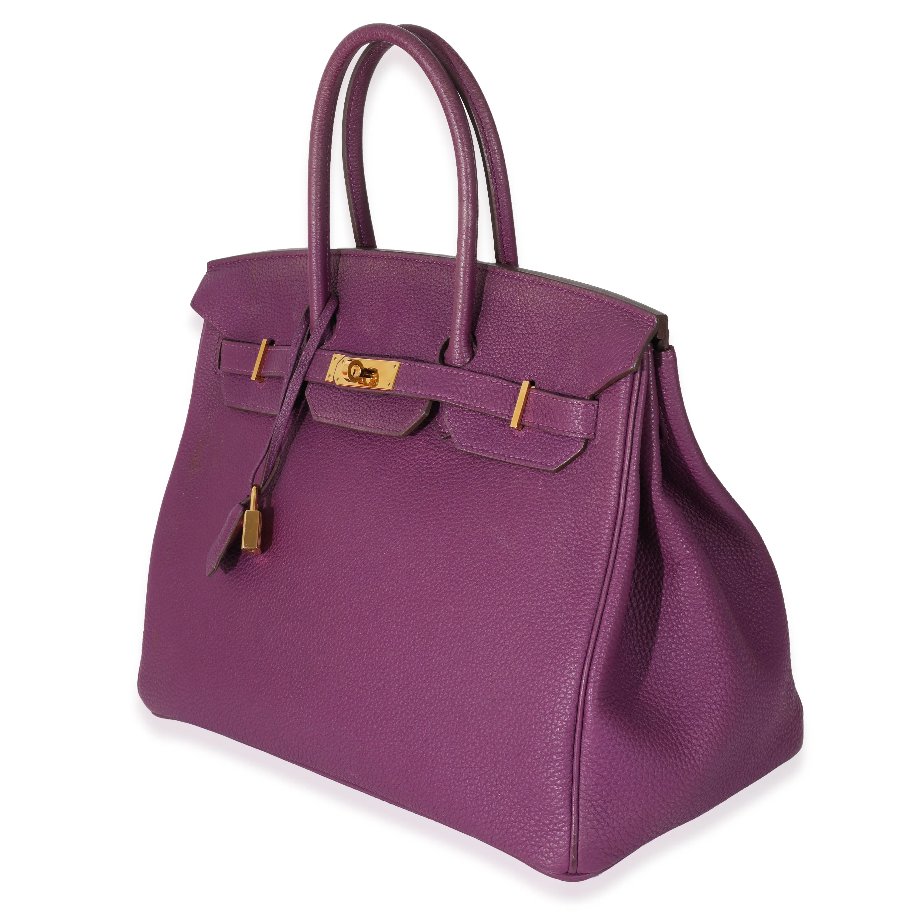 Clemence Anemone Birkin 35 GHW - Image 2