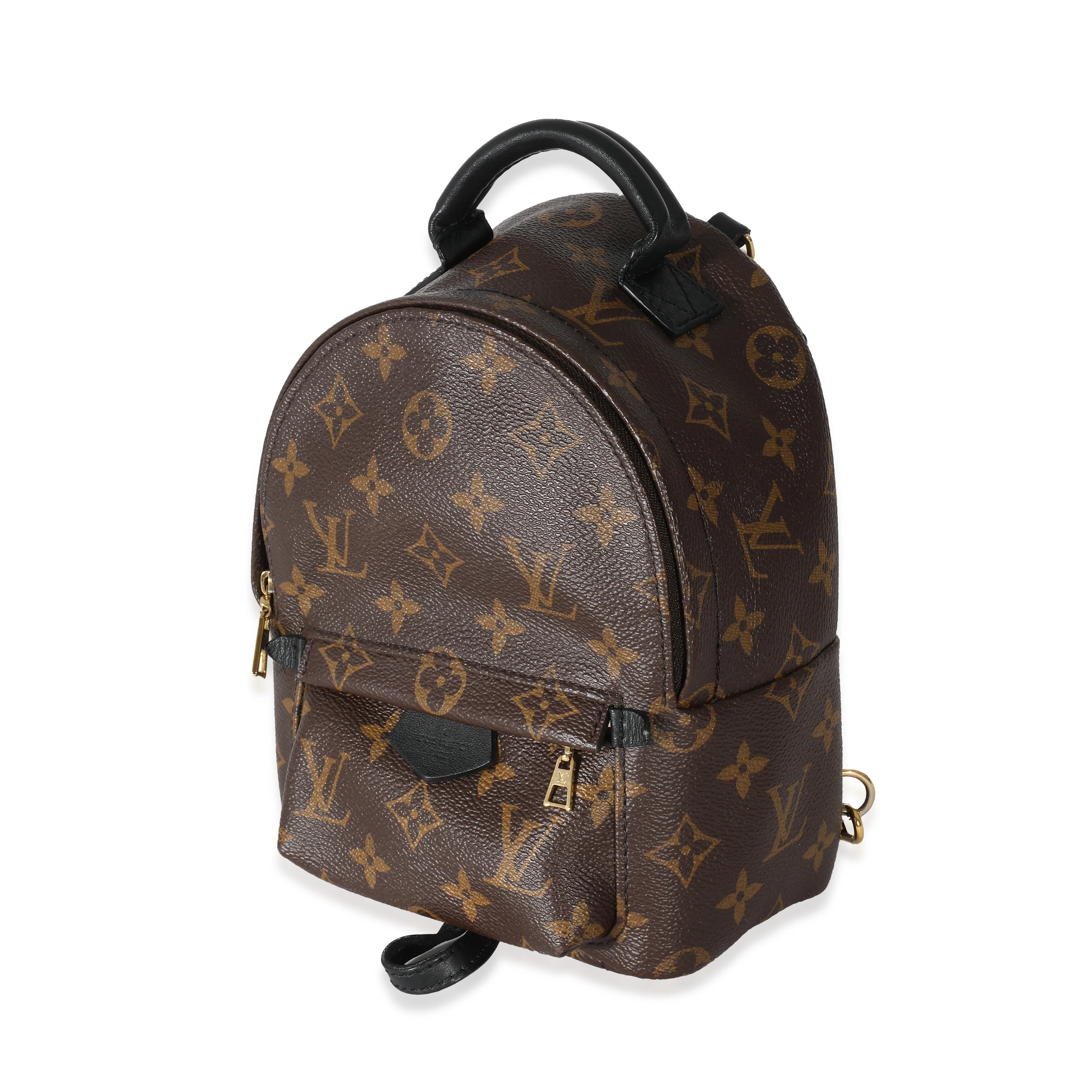 Louis Vuitton Monogram Canvas Mini Palm Springs - Image 2