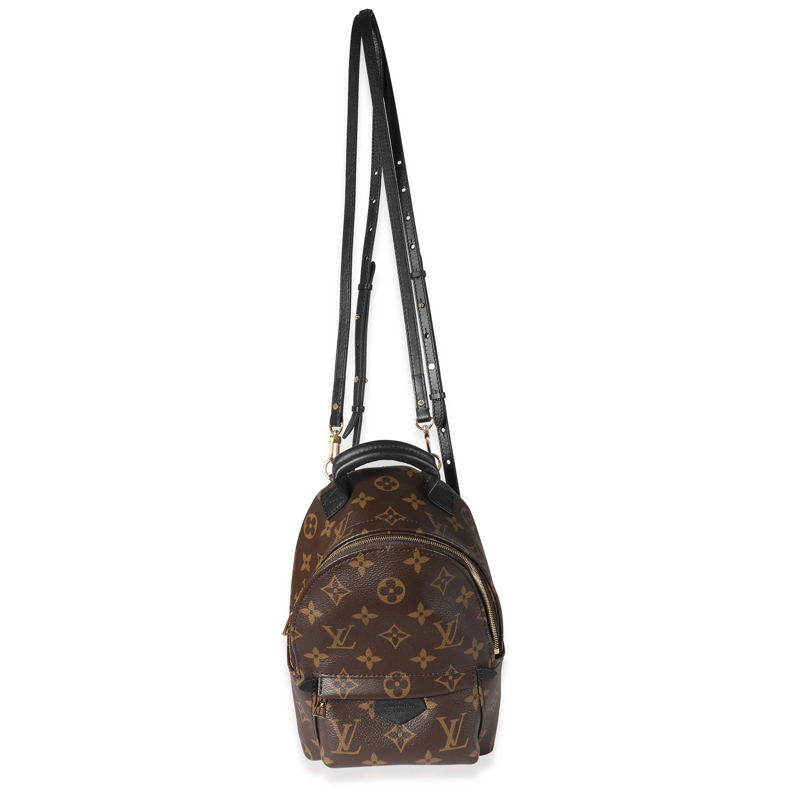 Louis Vuitton Monogram Canvas Mini Palm Springs - Image 4