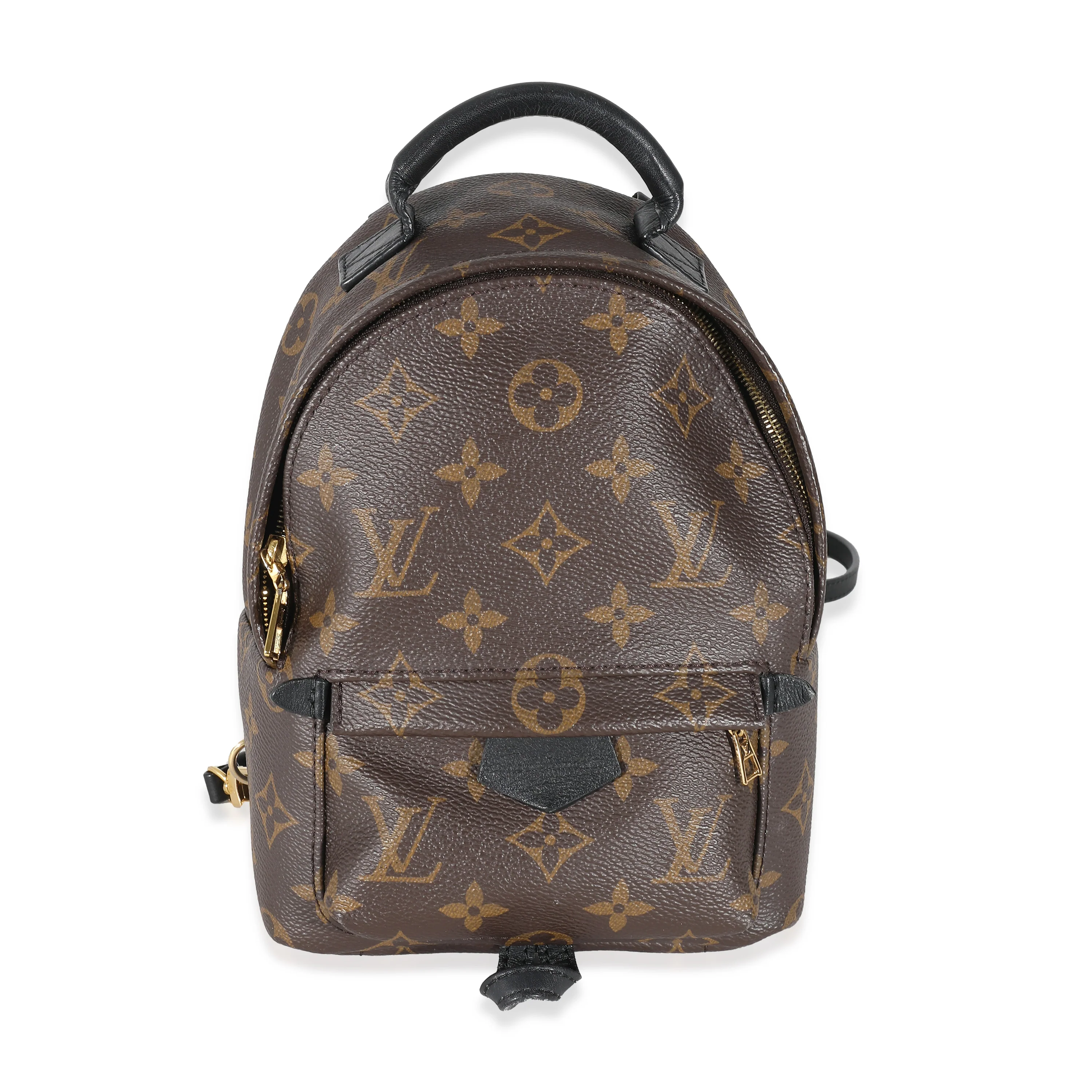 Louis Vuitton Monogram Canvas Mini Palm Springs
