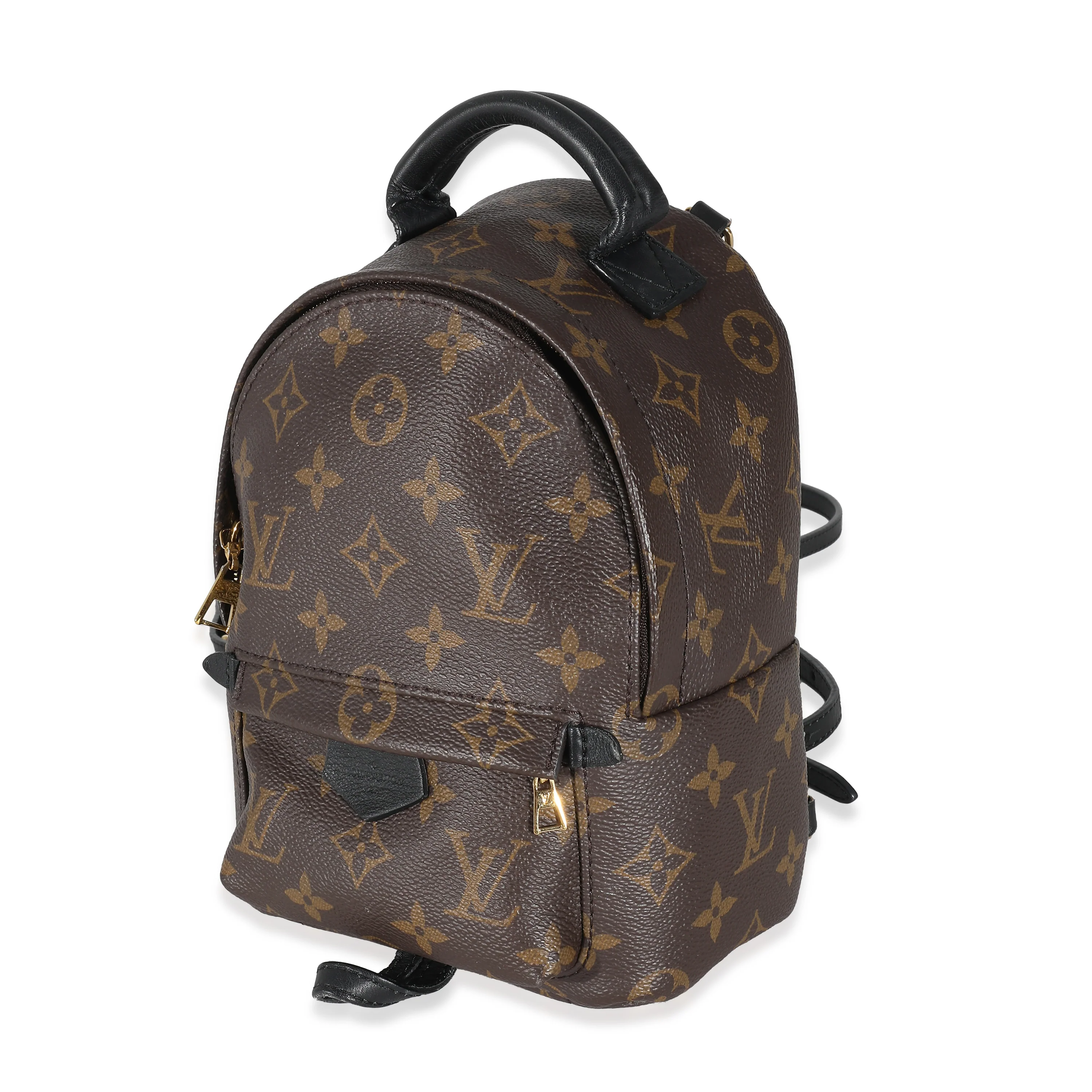 Louis Vuitton Monogram Canvas Mini Palm Springs - Image 2