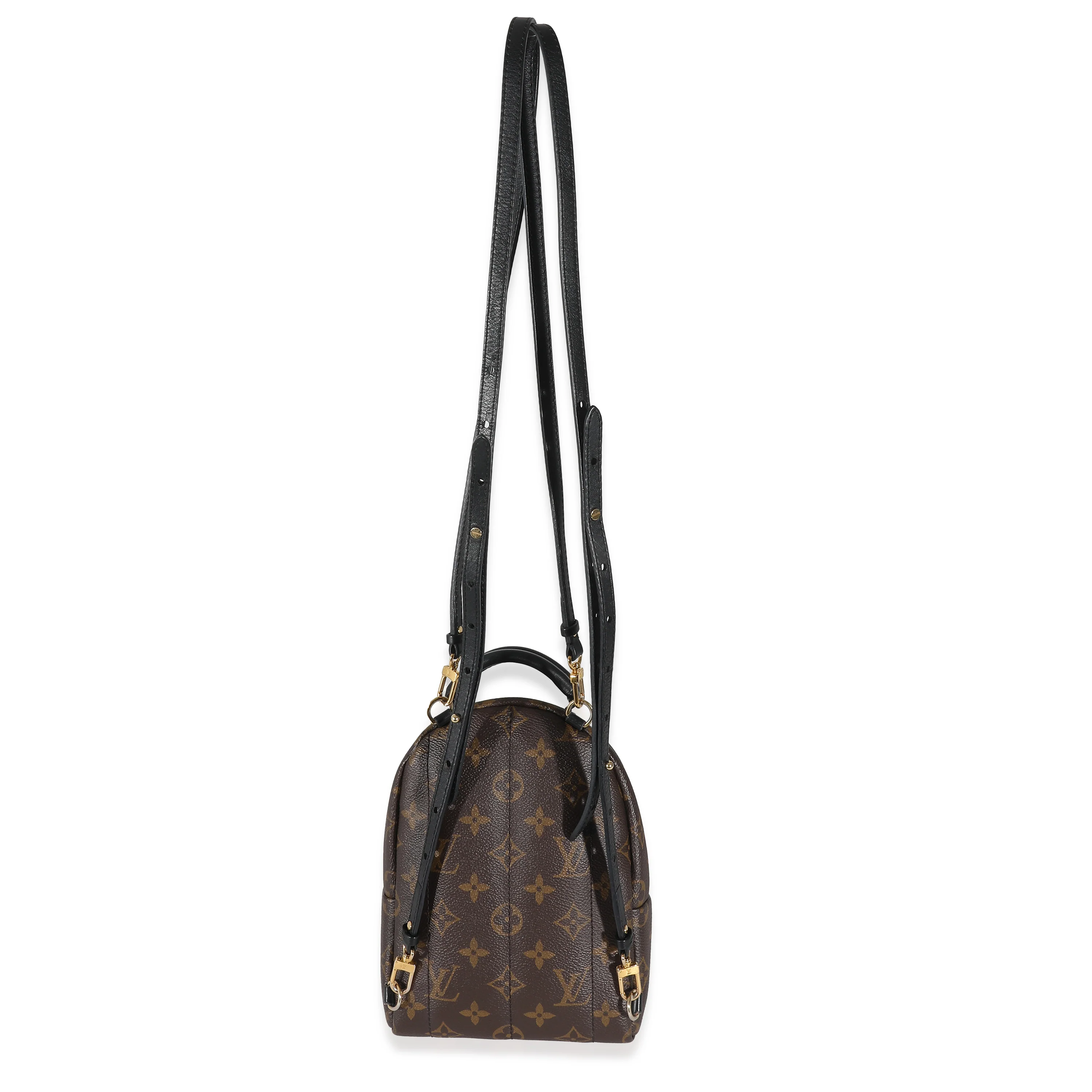 Louis Vuitton Monogram Canvas Mini Palm Springs - Image 4
