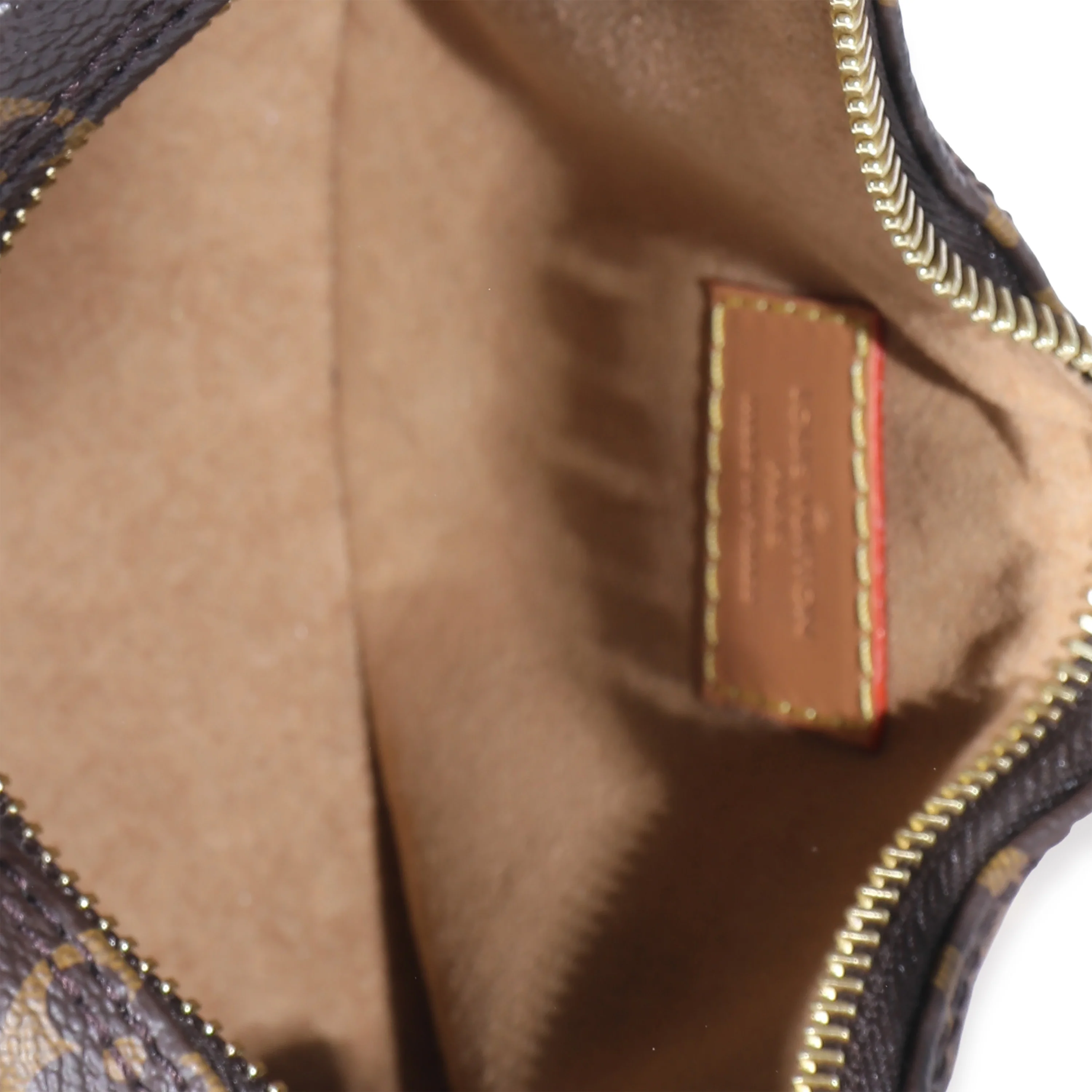 Louis Vuitton Monogram Canvas Loop - Image 4