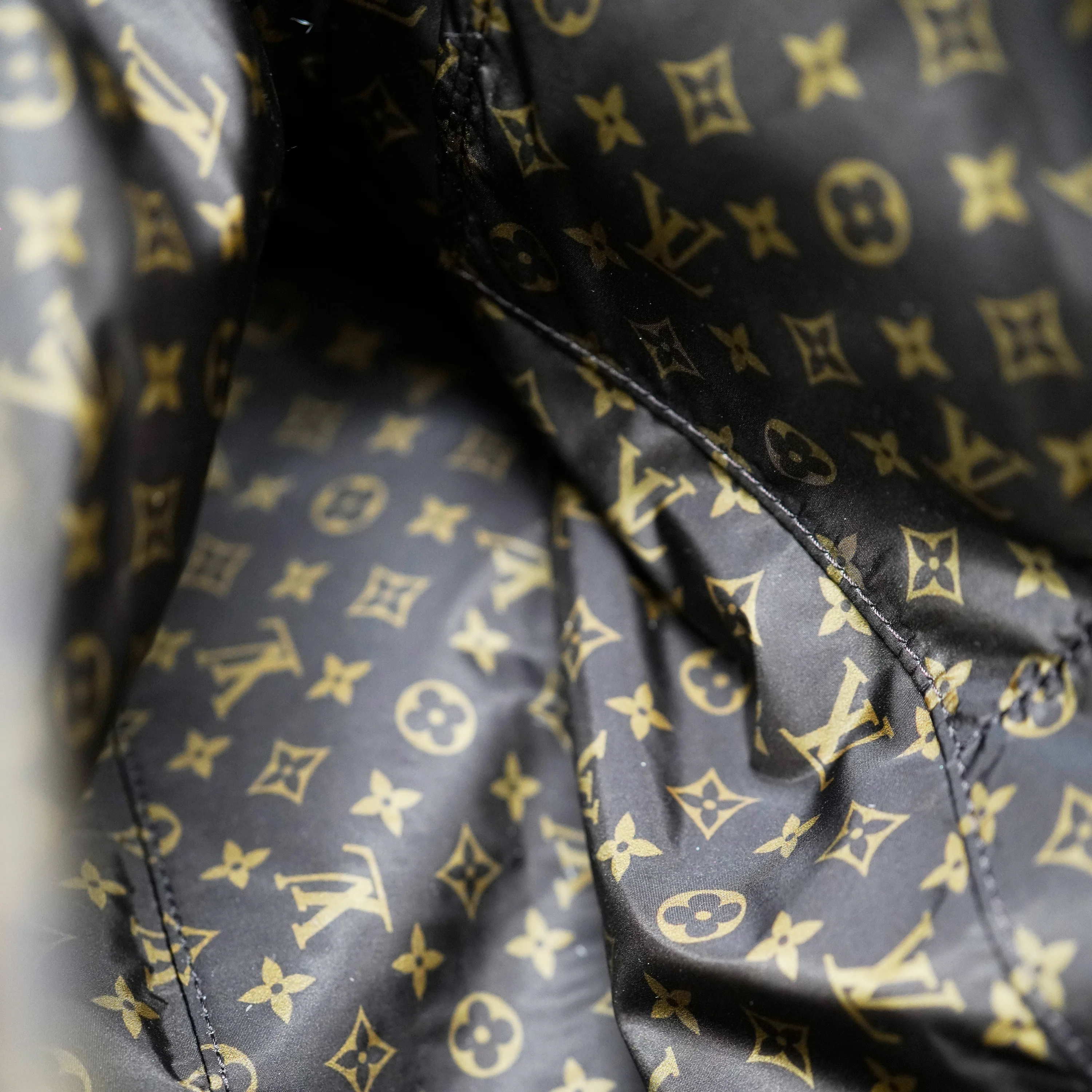 Louis Vuitton Beige Econyl Monogram Pillow Giant Onthego GM - Image 8