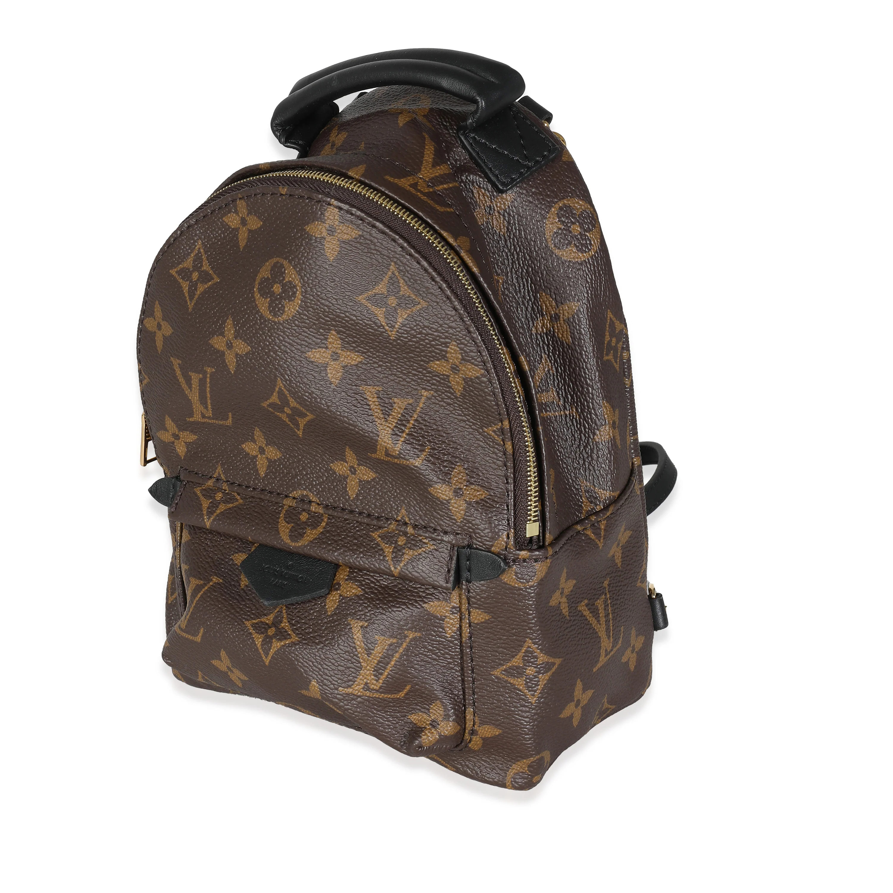 Louis Vuitton Monogram Canvas Mini Palm Springs - Image 2