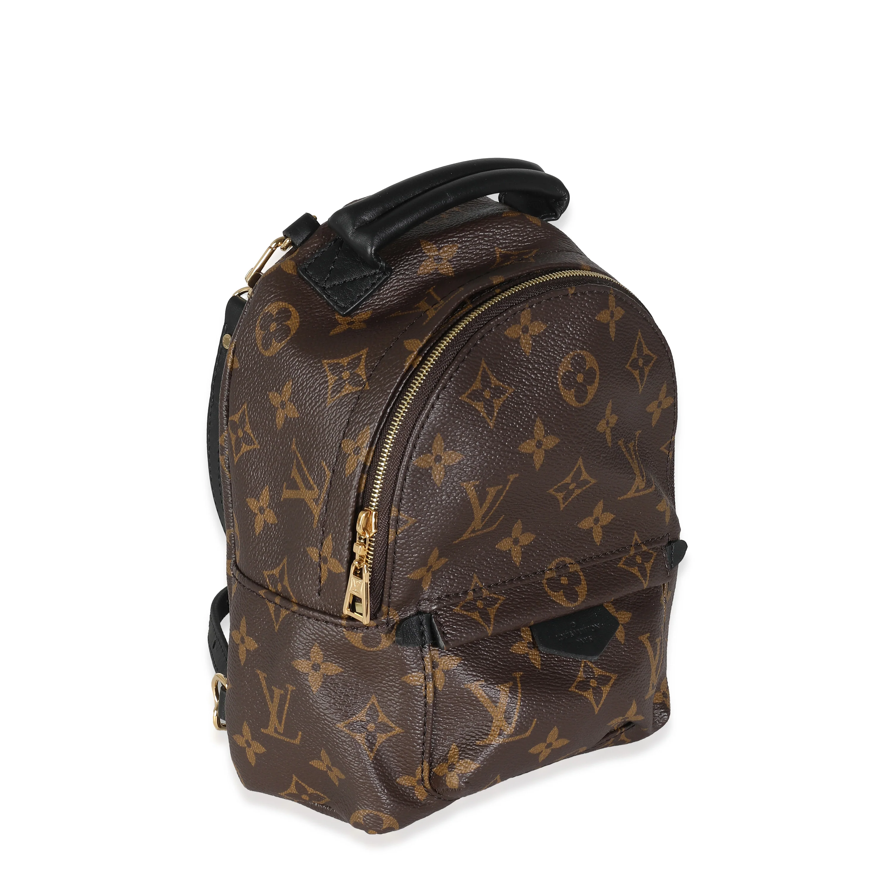 Louis Vuitton Monogram Canvas Mini Palm Springs - Image 3