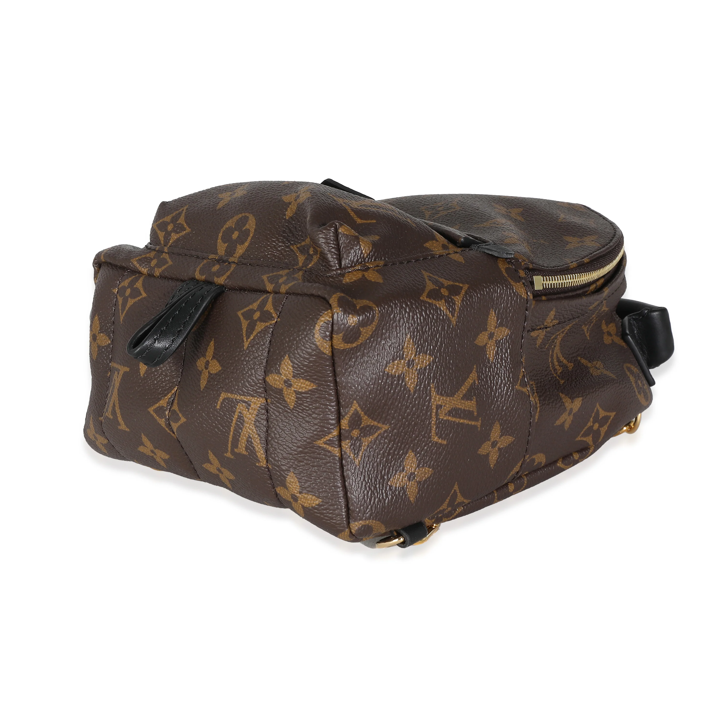 Louis Vuitton Monogram Canvas Mini Palm Springs - Image 5