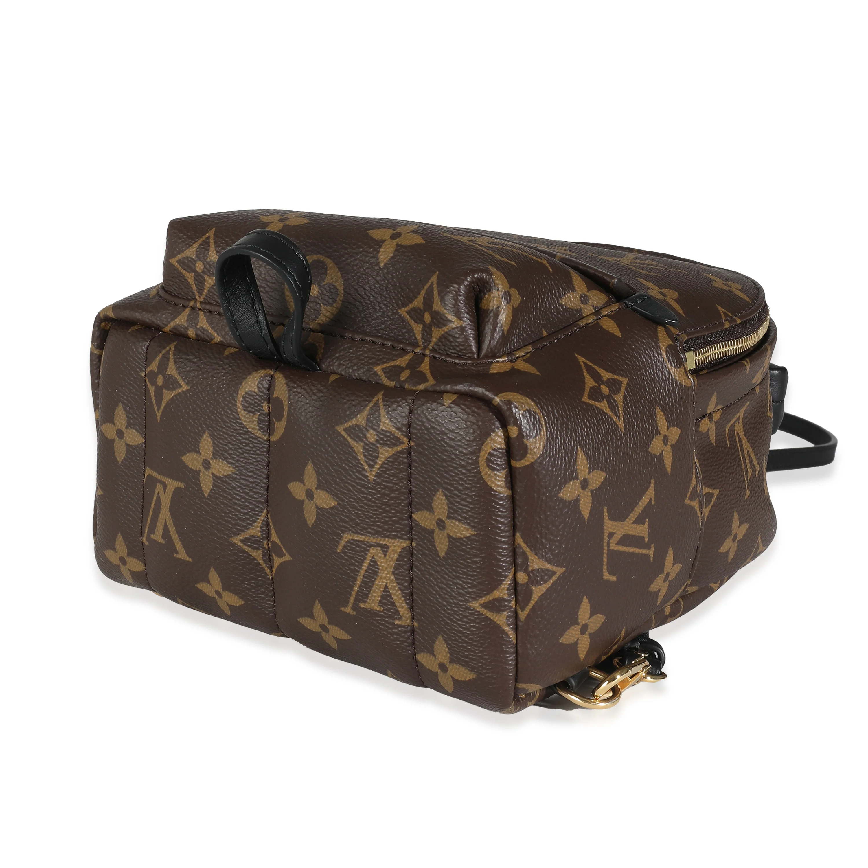 Monogram Canvas Mini Palm Springs - Image 4