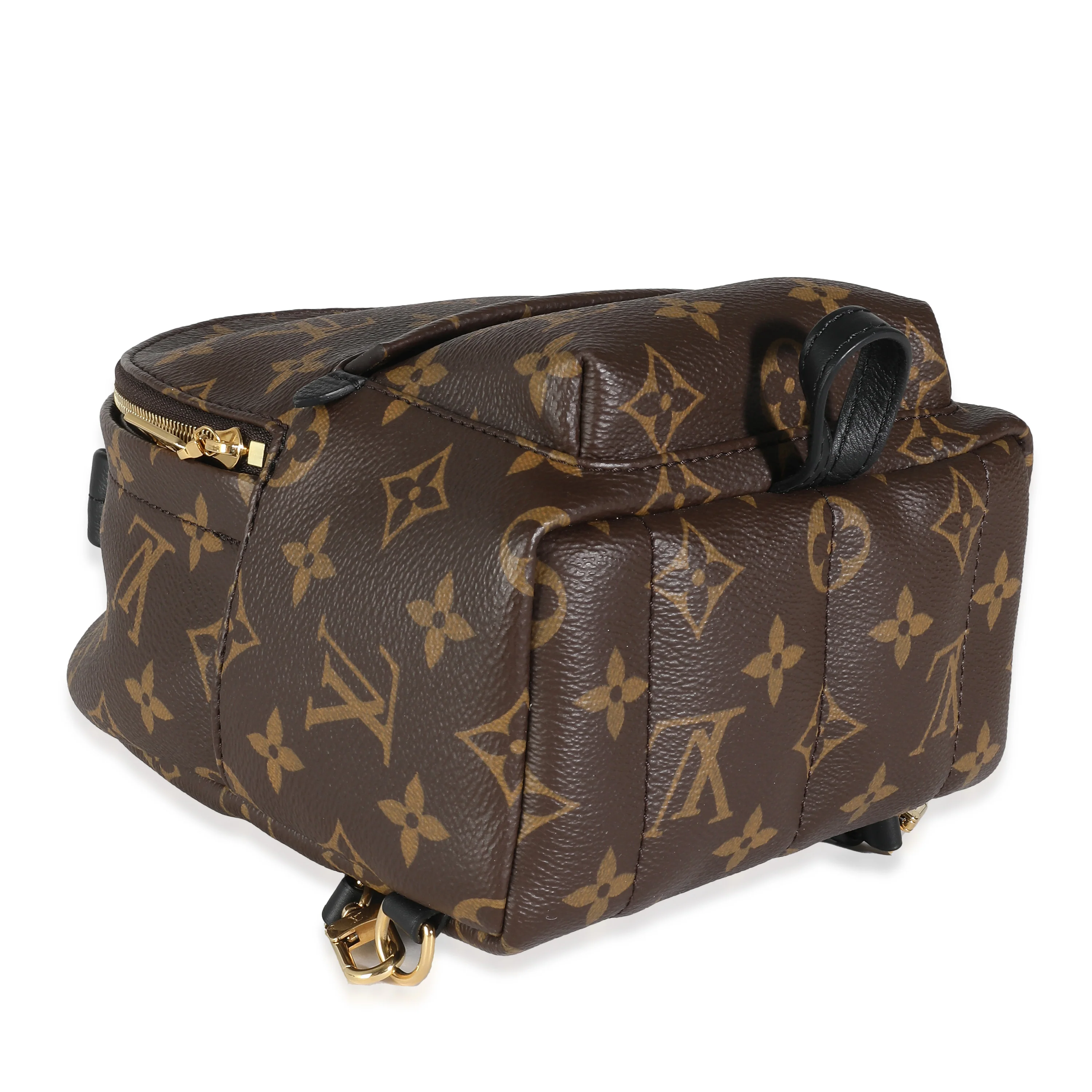 Monogram Canvas Mini Palm Springs - Image 5
