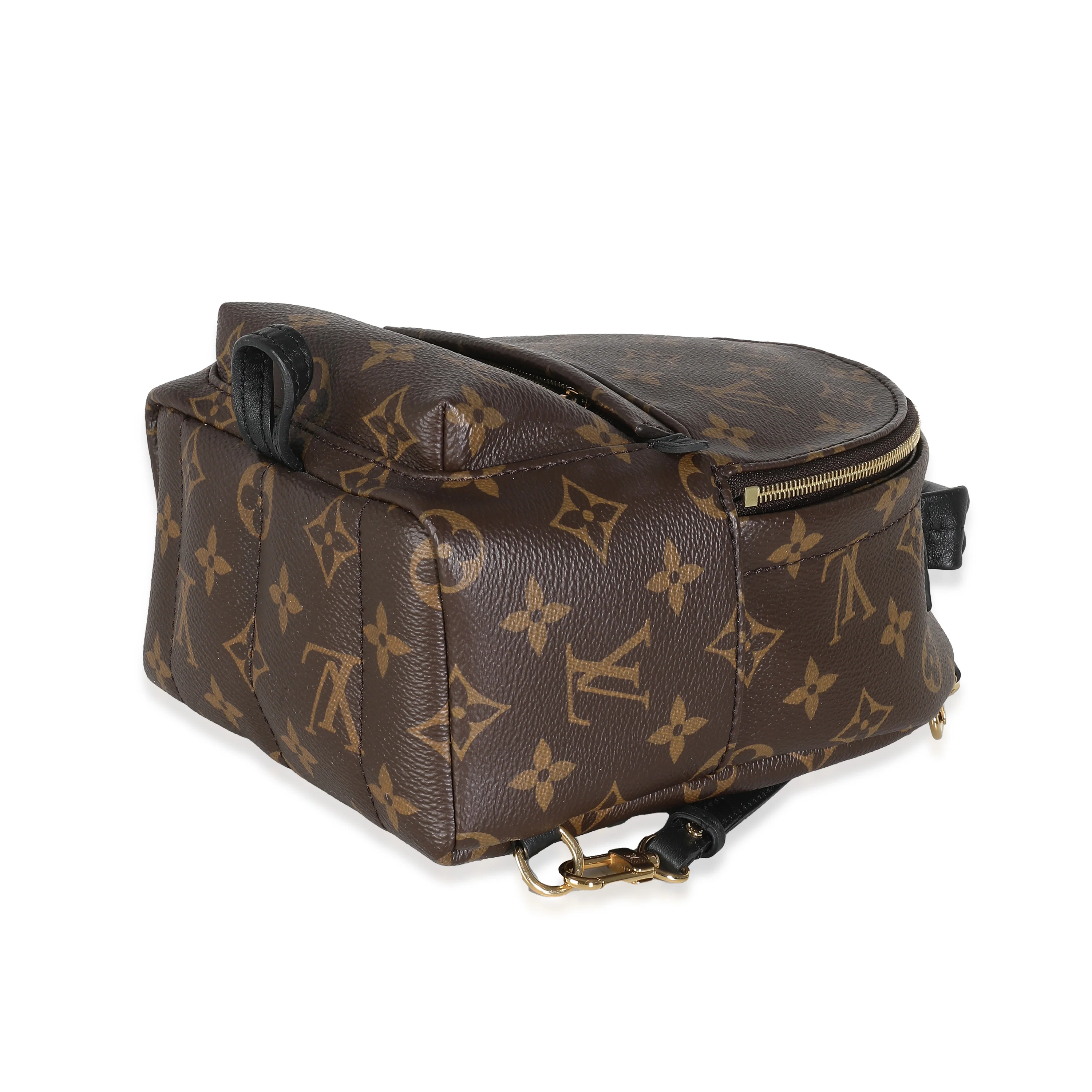 Monogram Canvas Mini Palm Springs - Image 6