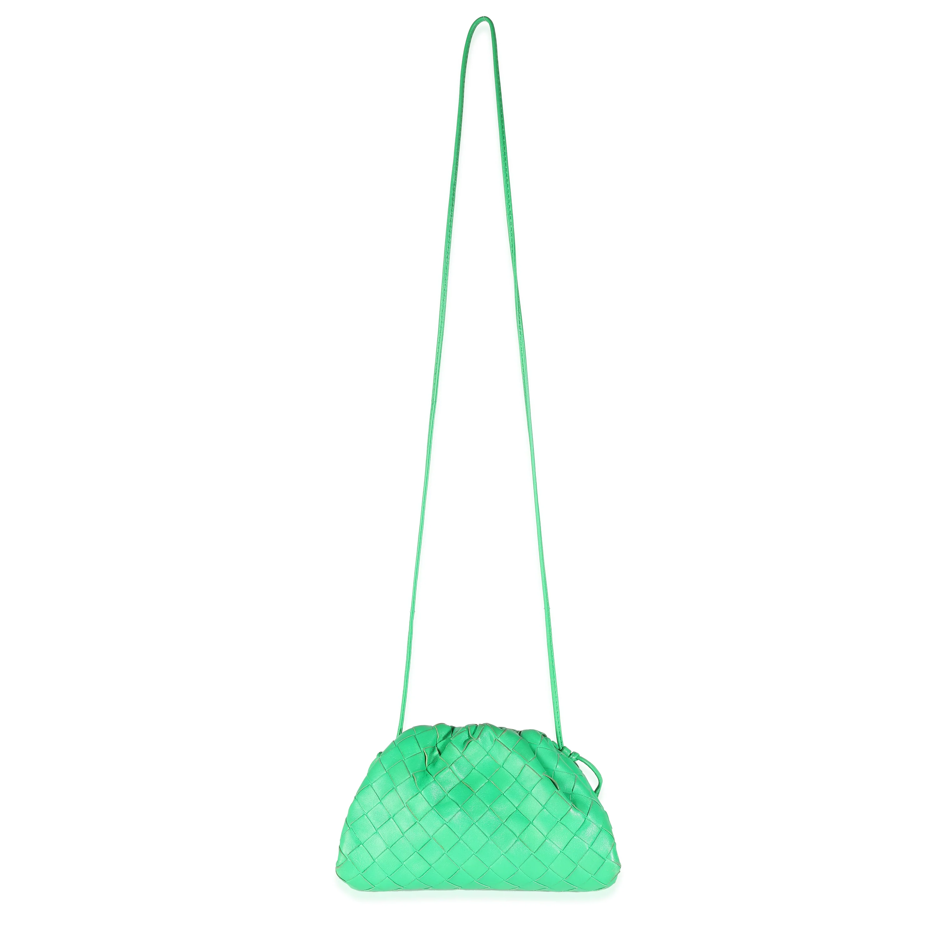 Parakeet Nappa Intrecciato Mini Pouch - Image 8
