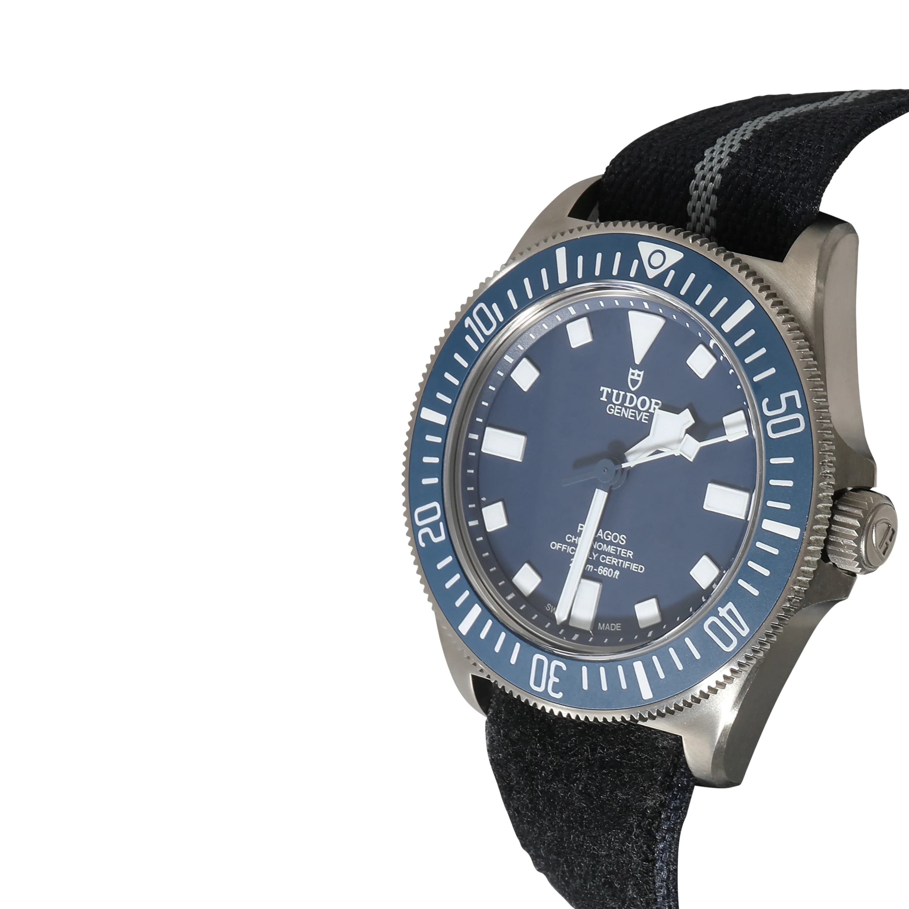 Pelegos FXD 25707B/22 Mens Watch in  Titanium - Image 3