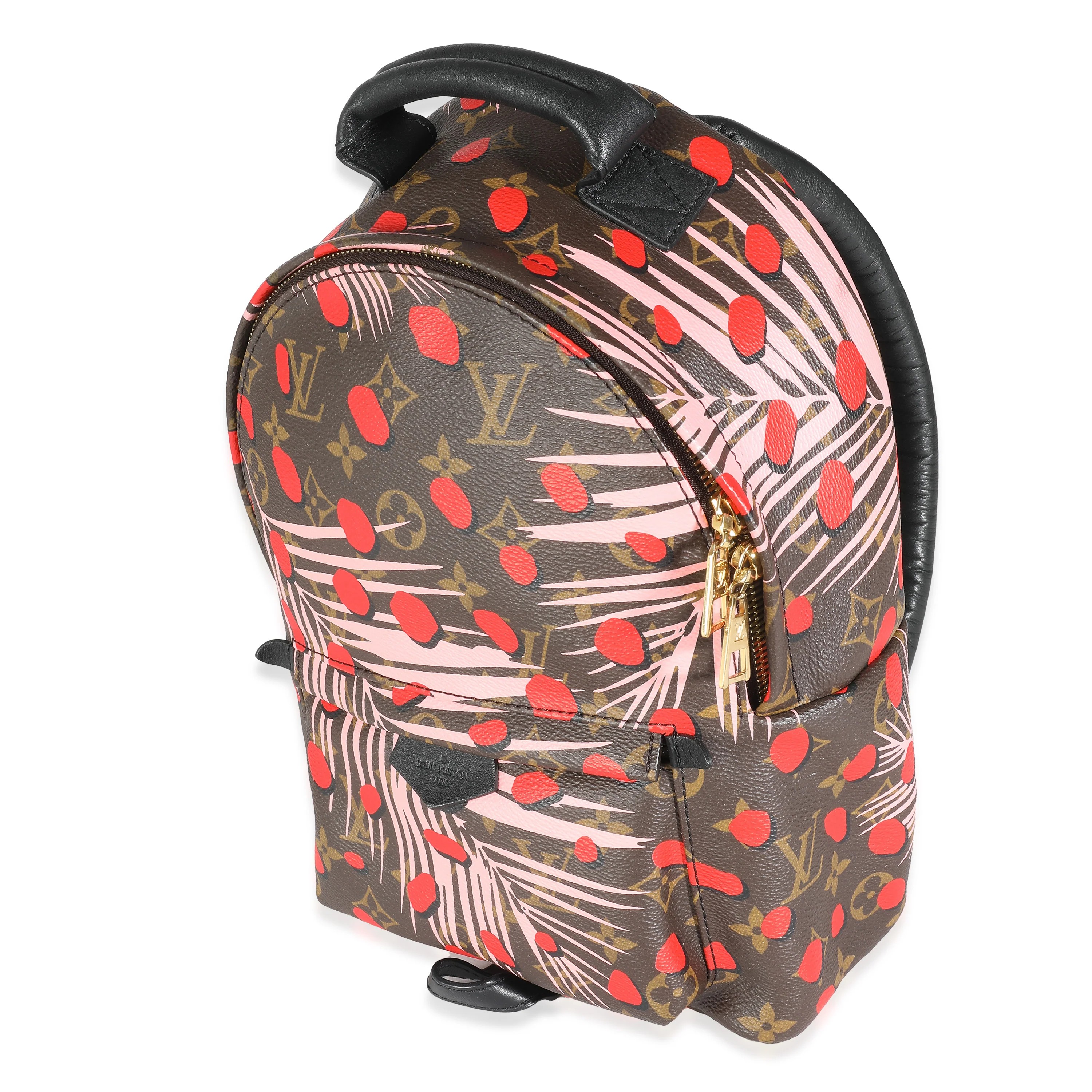 Jungle Dots Monogram Canvas Palm Springs PM - Image 2
