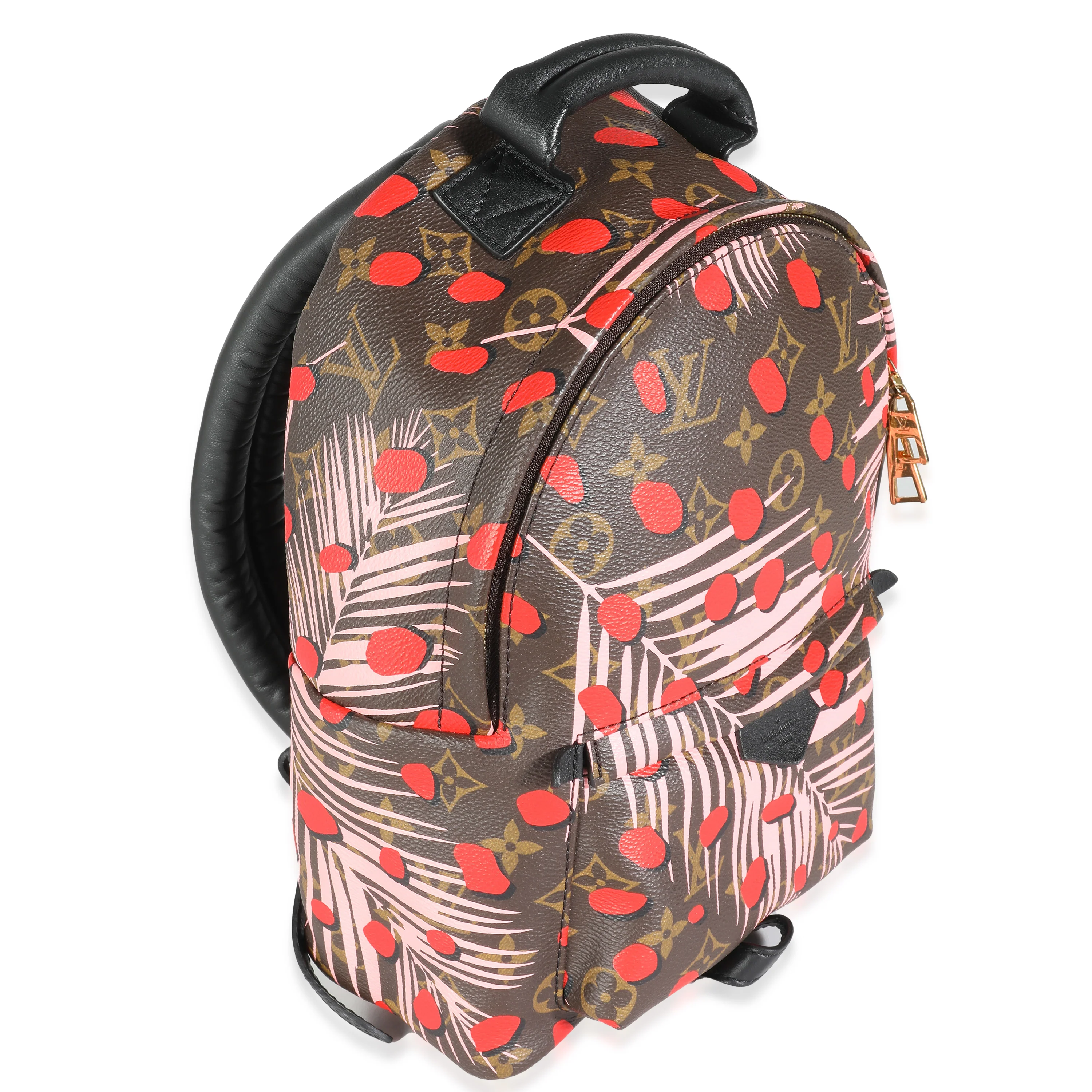 Jungle Dots Monogram Canvas Palm Springs PM - Image 3