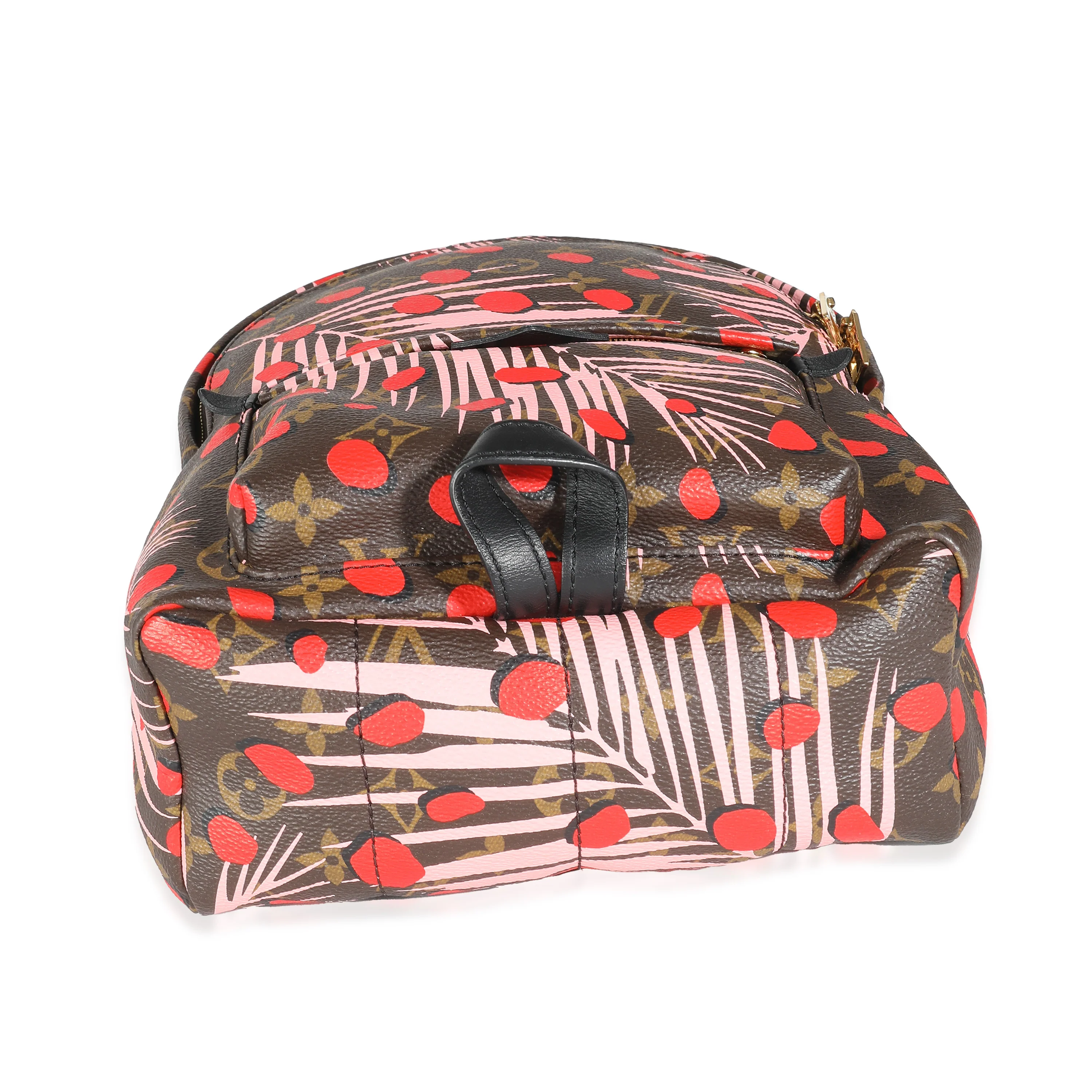 Jungle Dots Monogram Canvas Palm Springs PM - Image 4