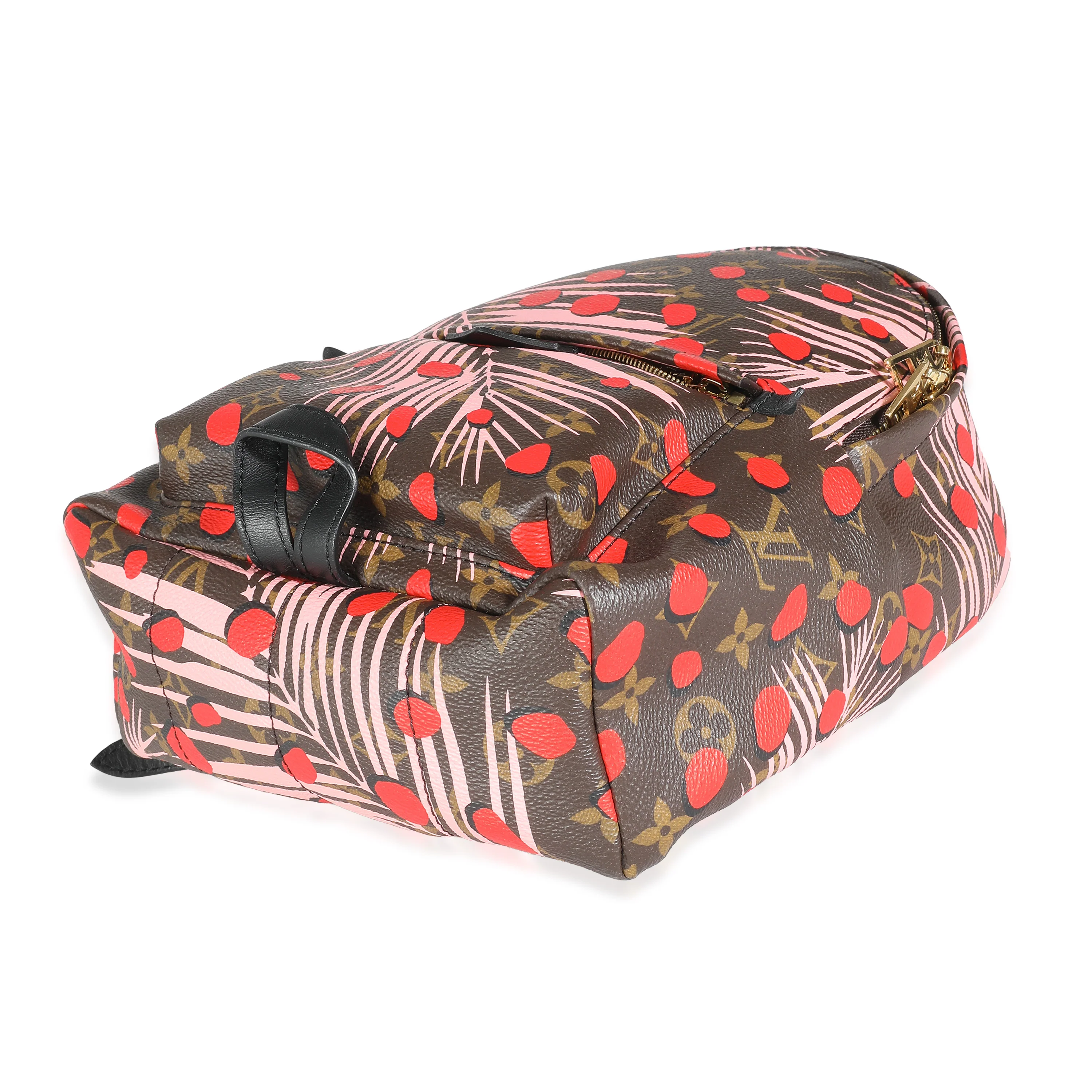 Jungle Dots Monogram Canvas Palm Springs PM - Image 5