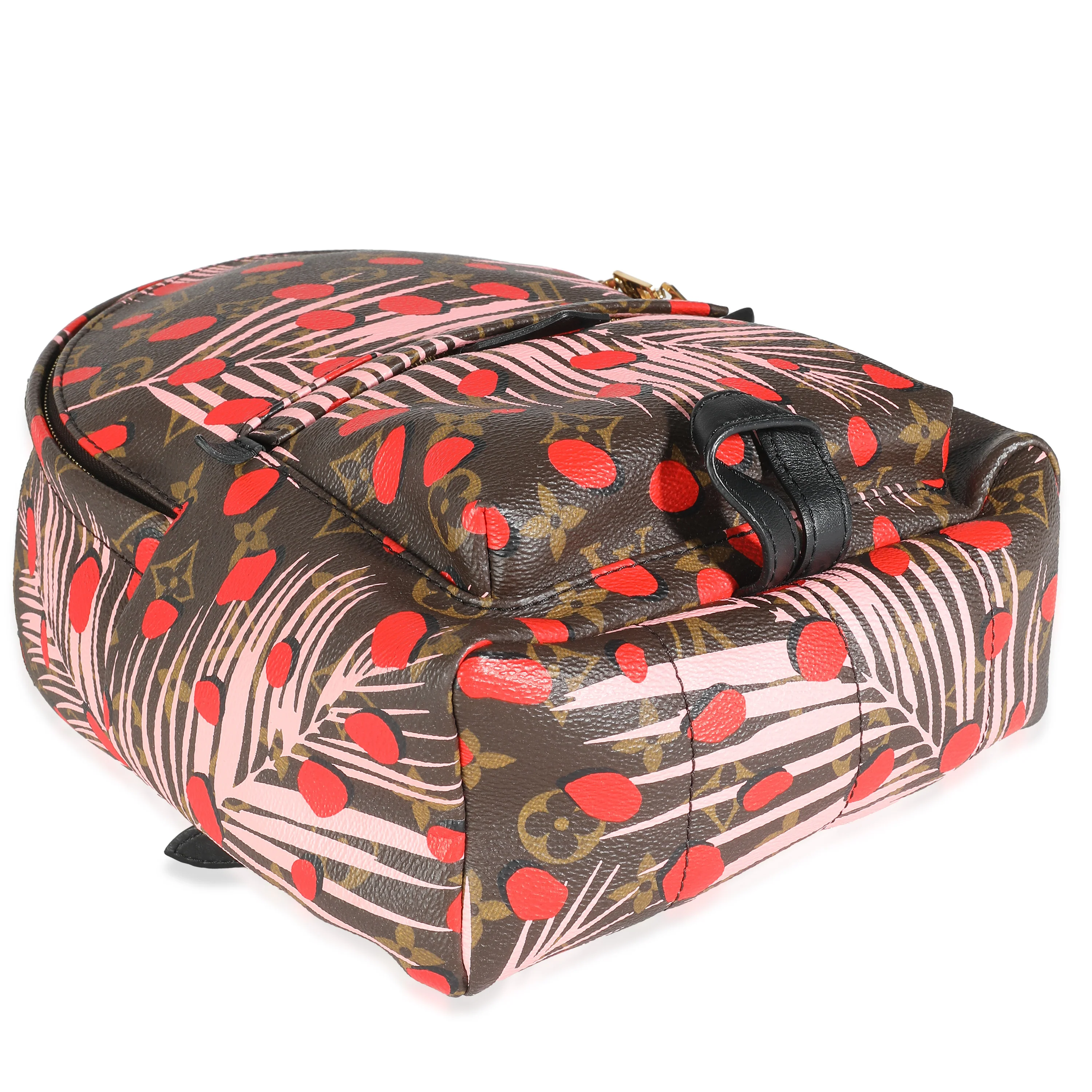 Jungle Dots Monogram Canvas Palm Springs PM - Image 6