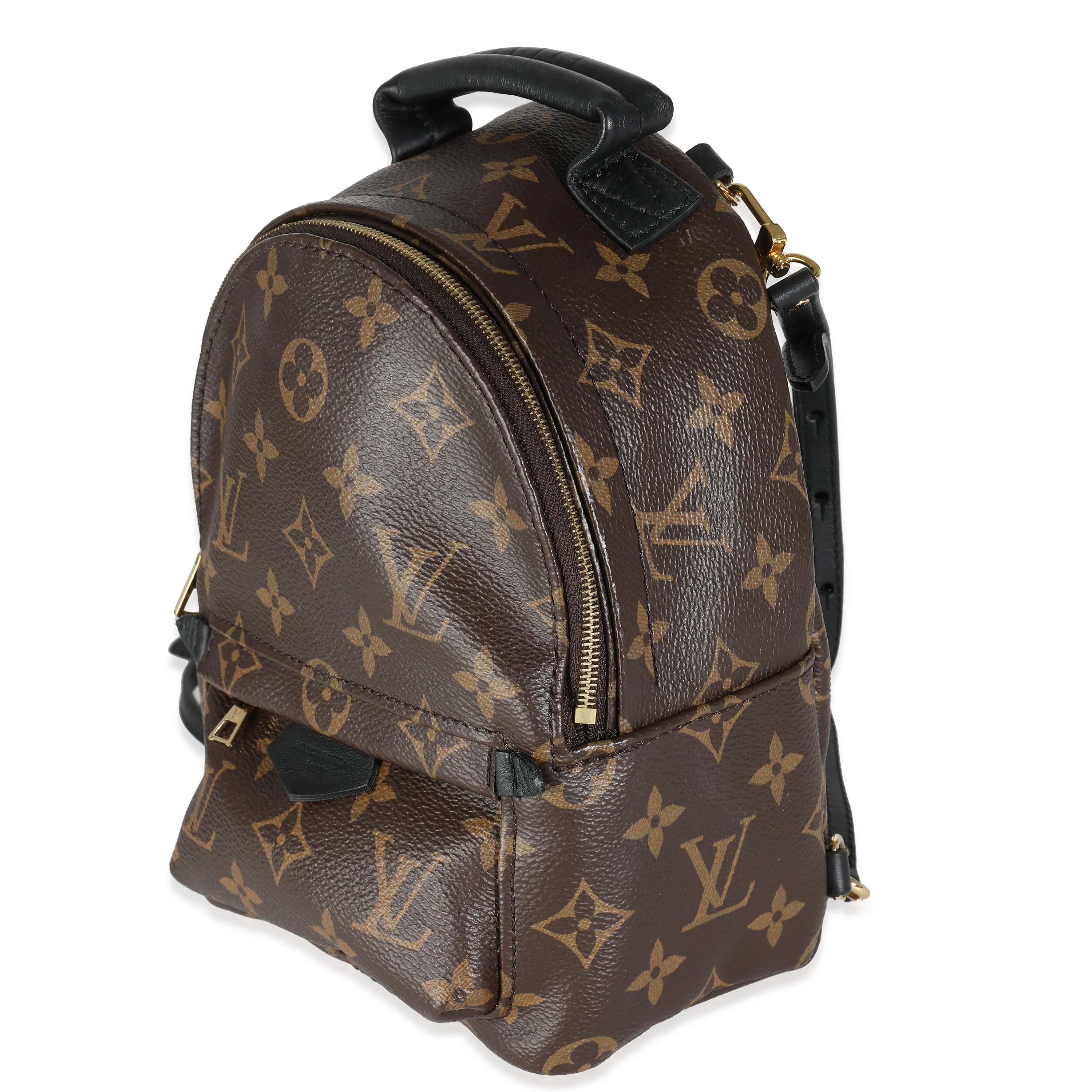 Monogram Canvas Mini Palm Springs - Image 2