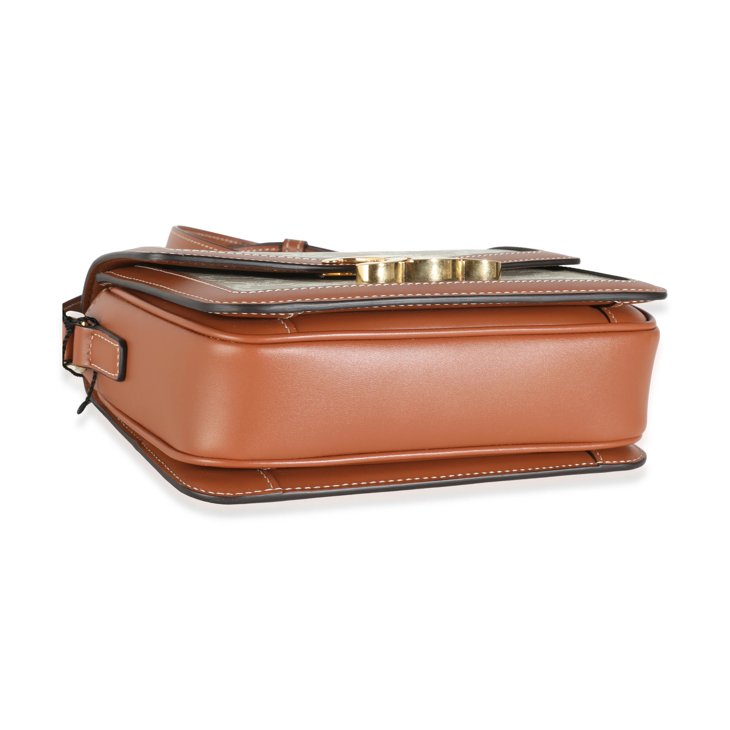 White Calfskin Triomphe Canvas Teen Triomphe Bag - Image 6