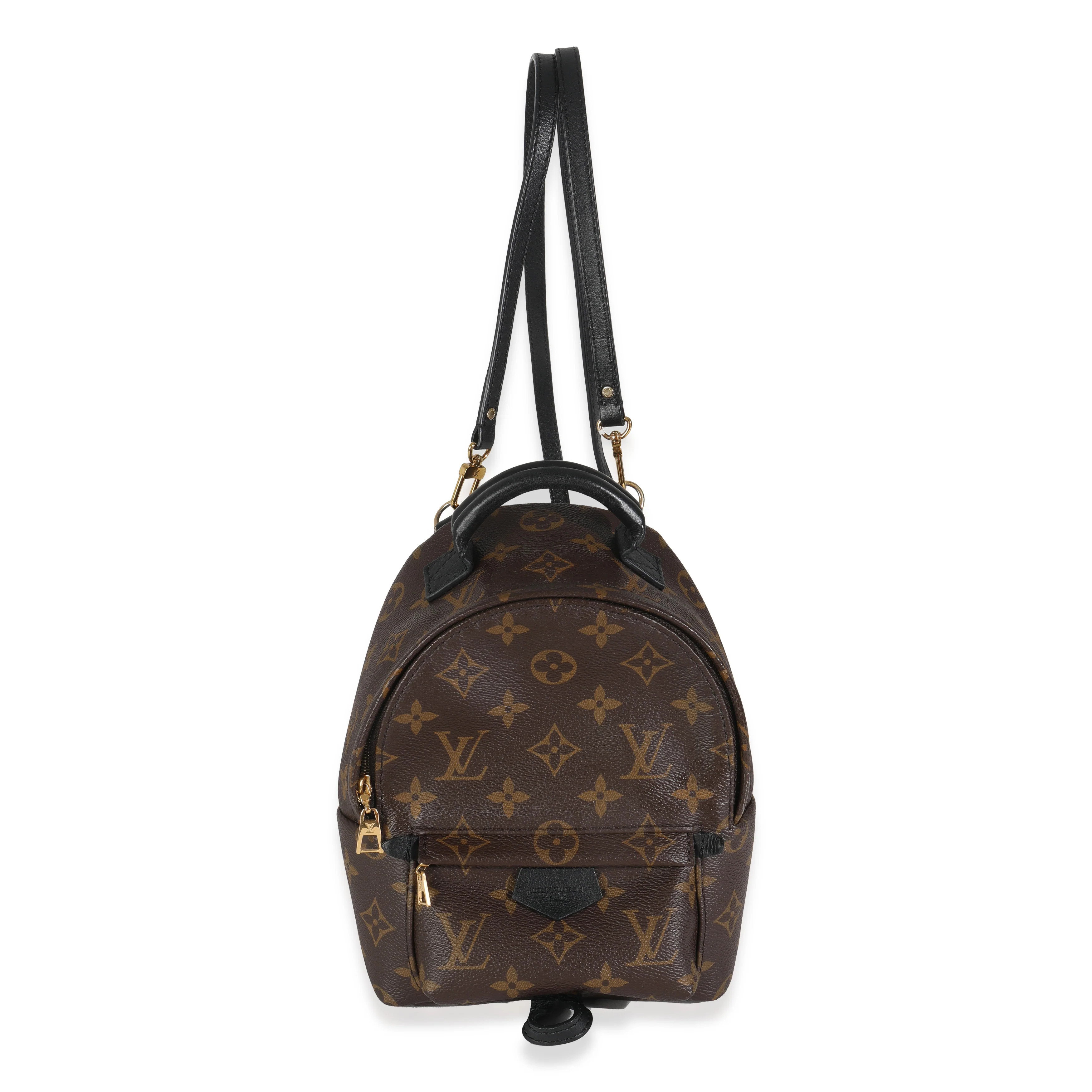 Monogram Canvas Mini Palm Springs