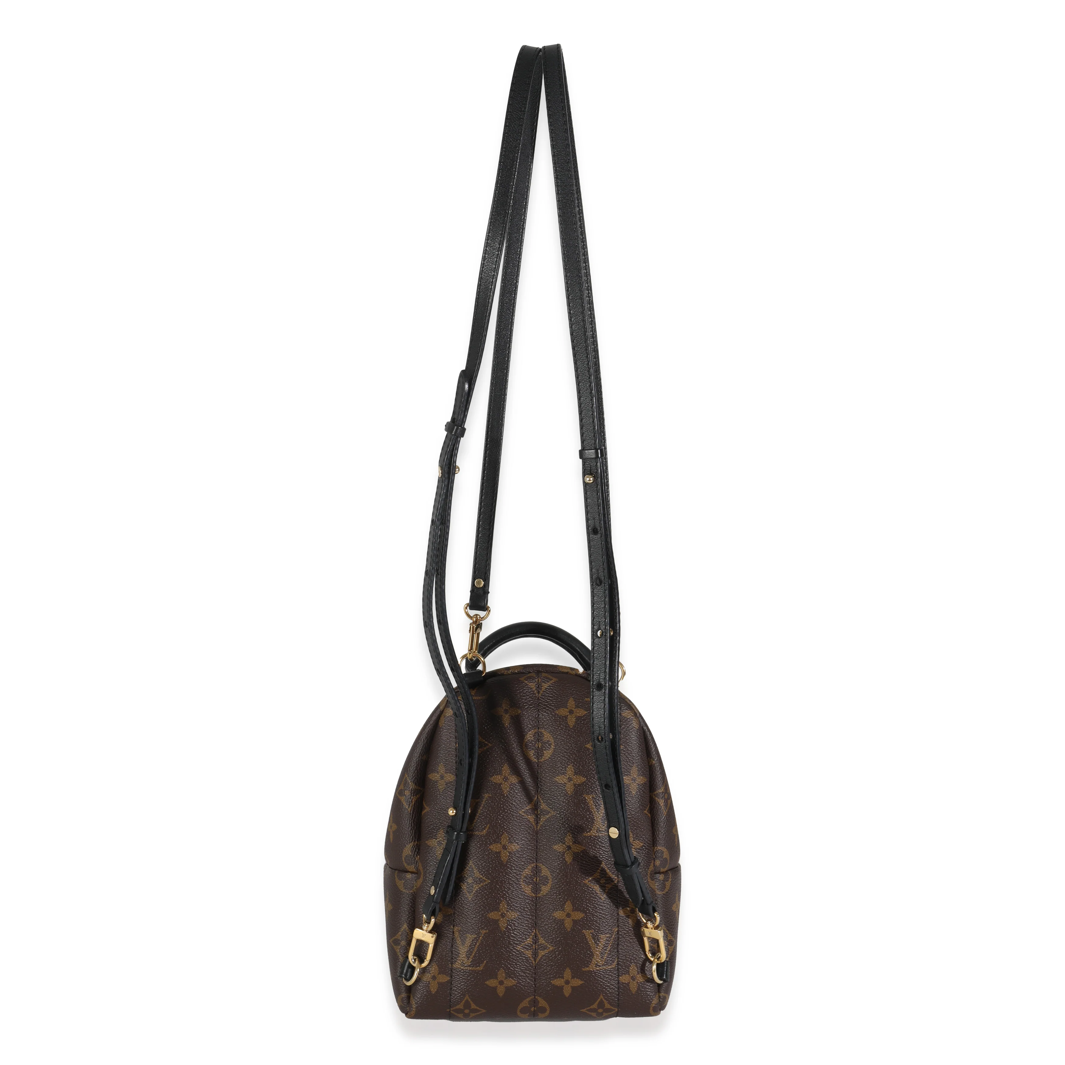 Monogram Canvas Mini Palm Springs - Image 4