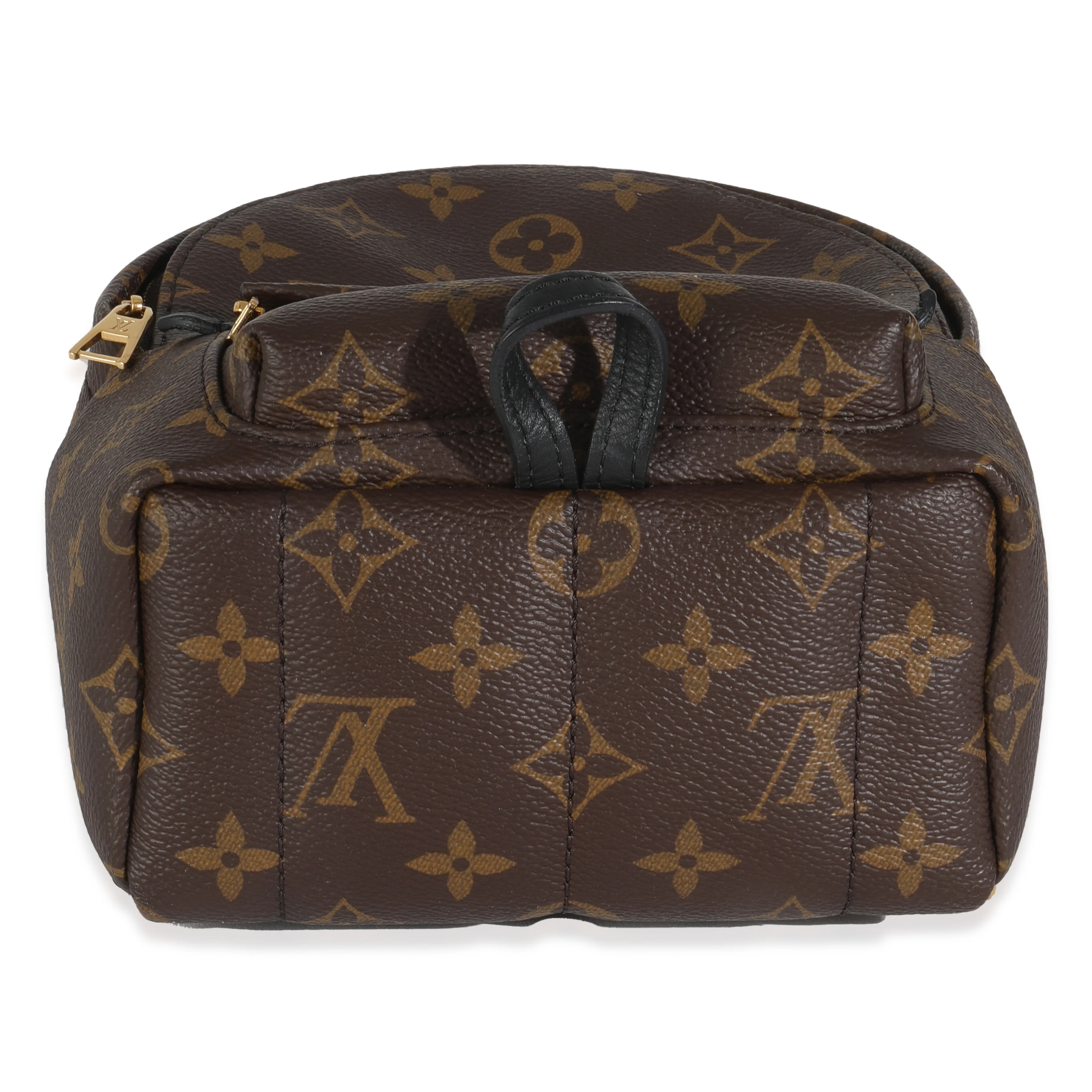 Monogram Canvas Mini Palm Springs - Image 5