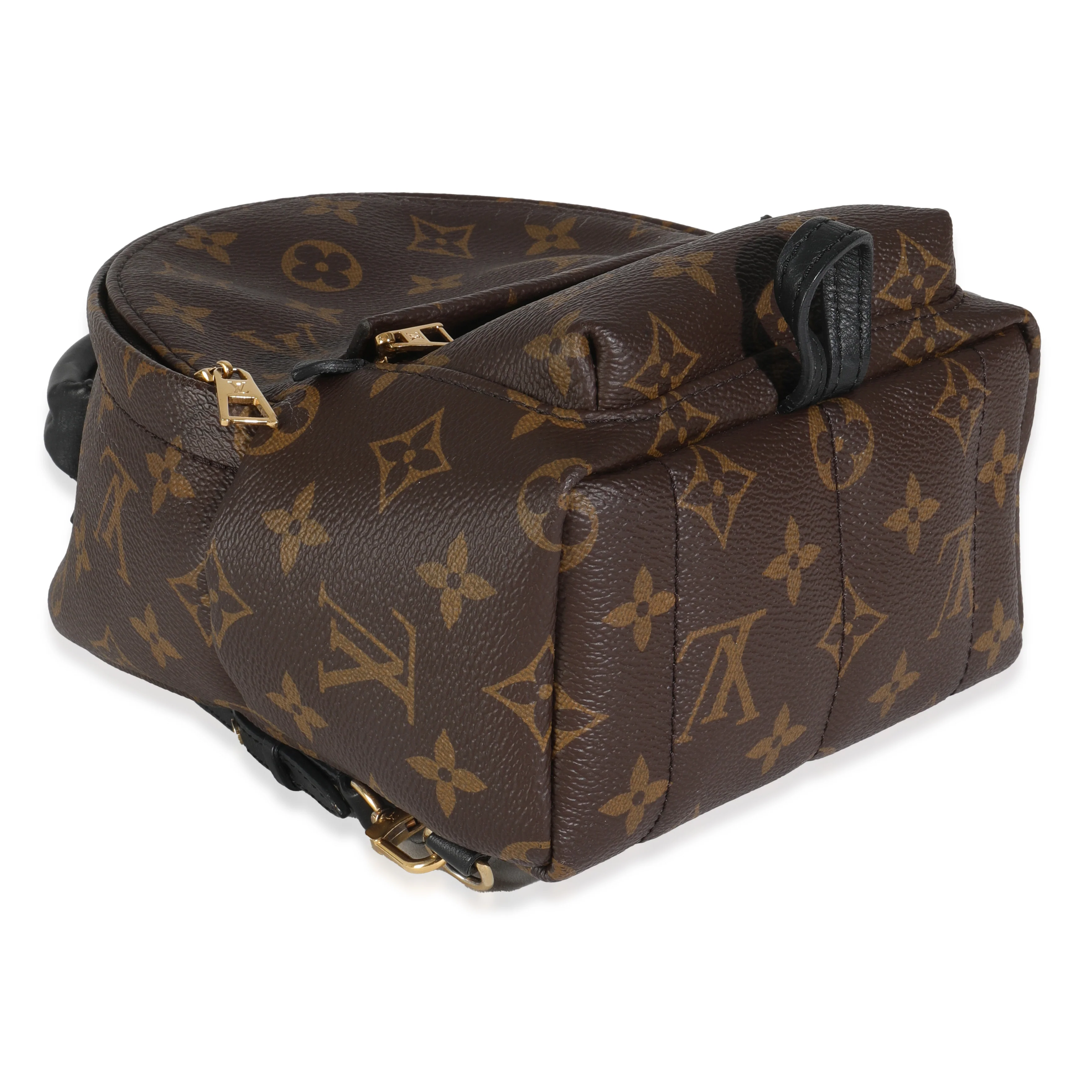 Monogram Canvas Mini Palm Springs - Image 7