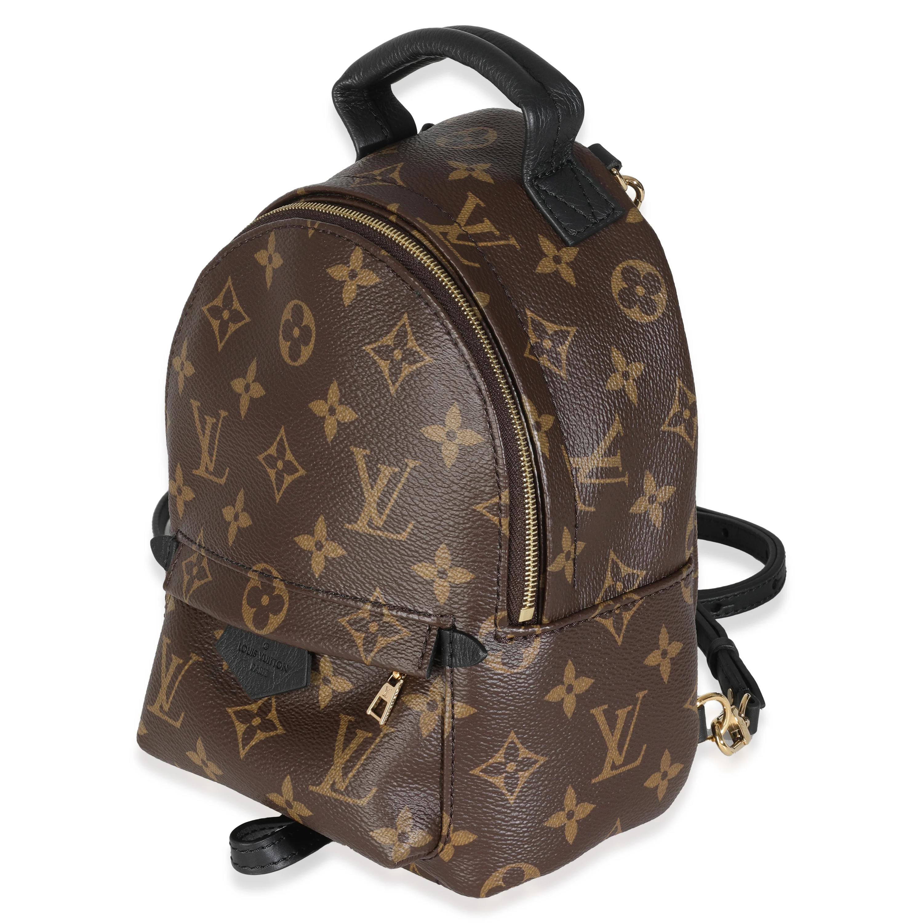 Monogram Canvas Mini Palm Springs - Image 2