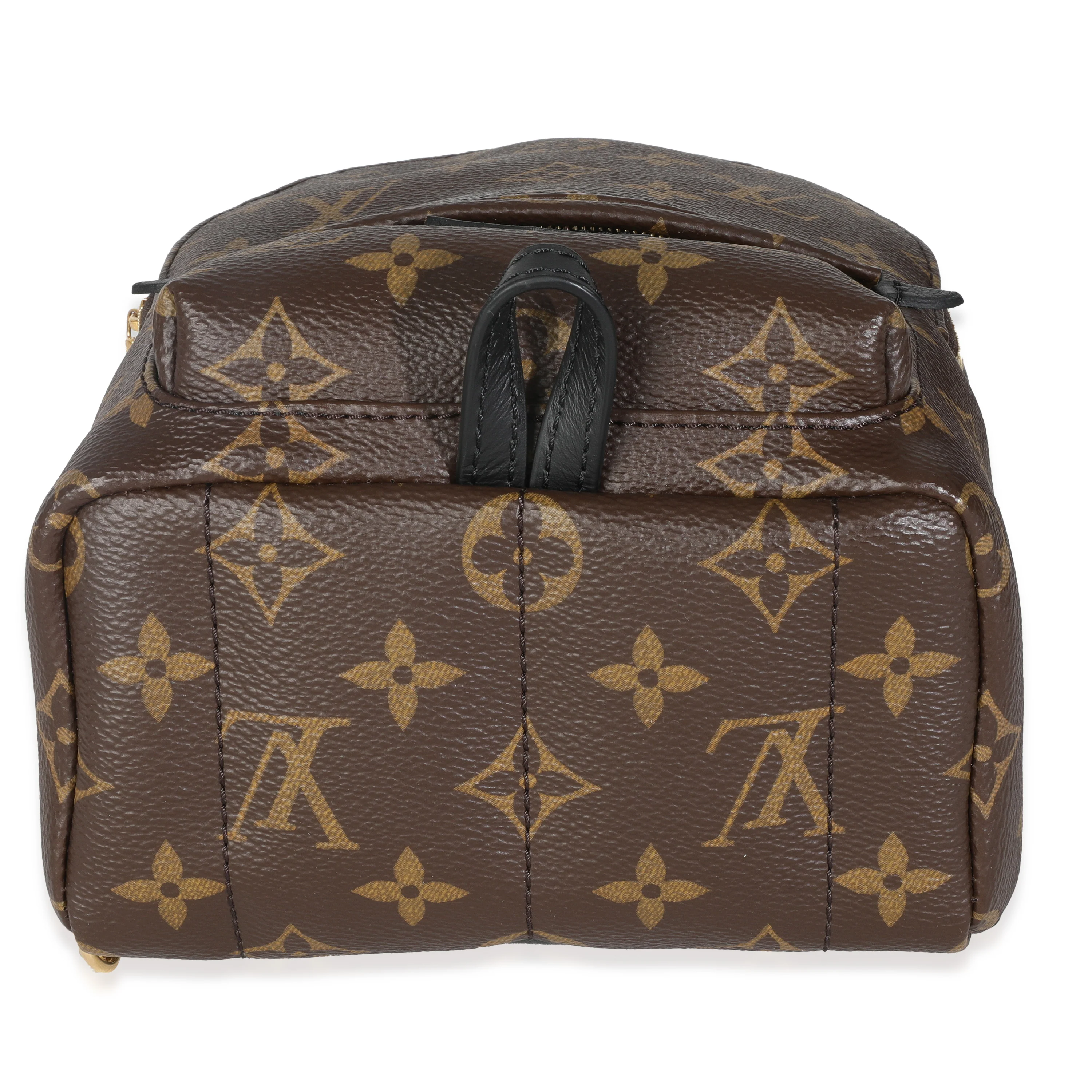 Monogram Canvas Mini Palm Springs - Image 5