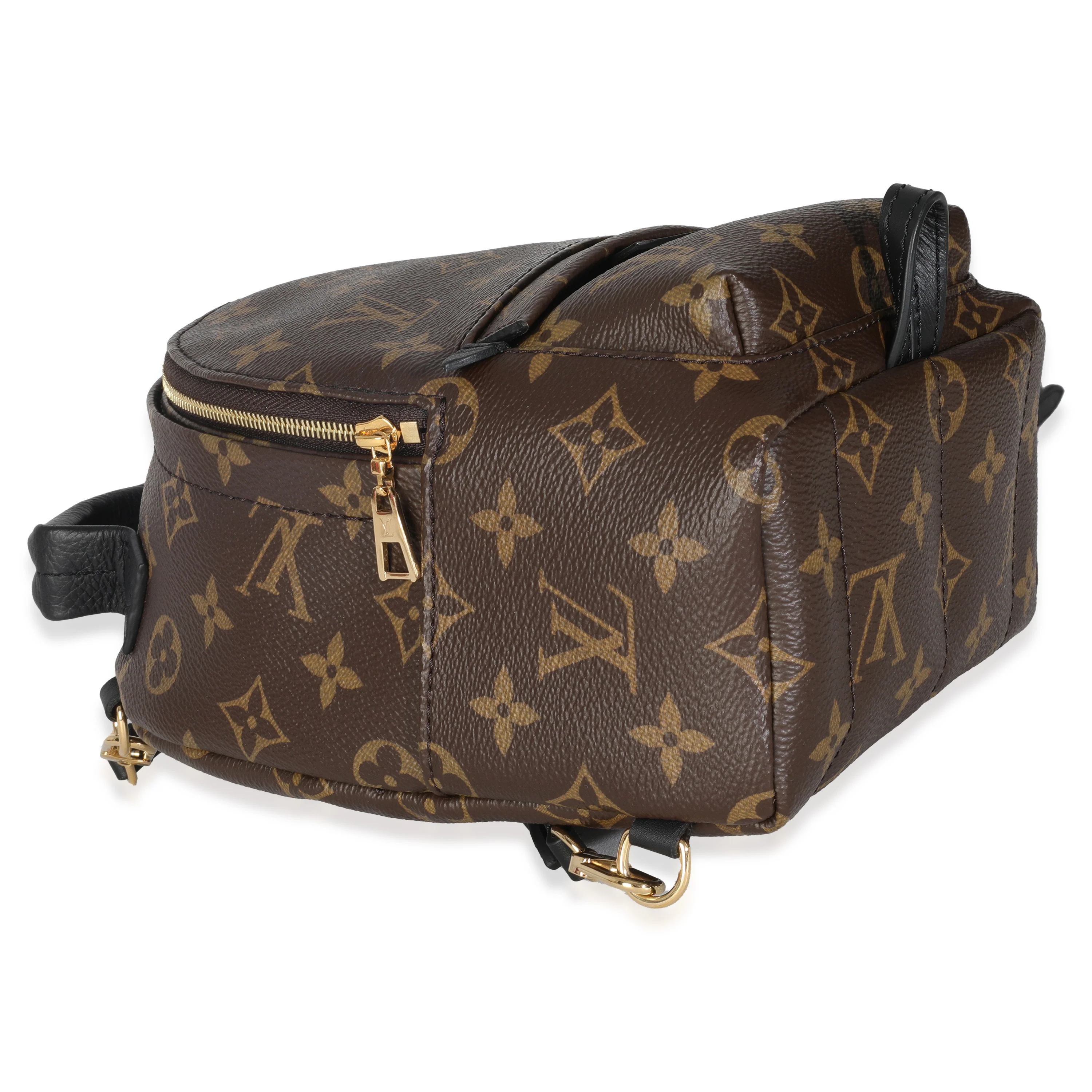 Monogram Canvas Mini Palm Springs - Image 6