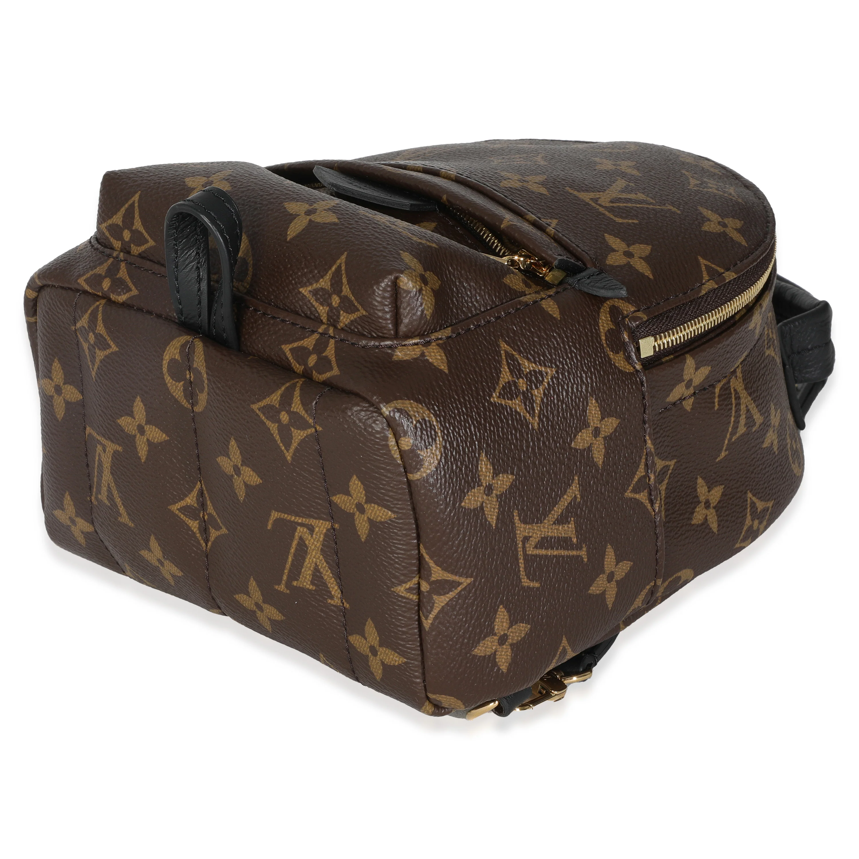 Monogram Canvas Mini Palm Springs - Image 7
