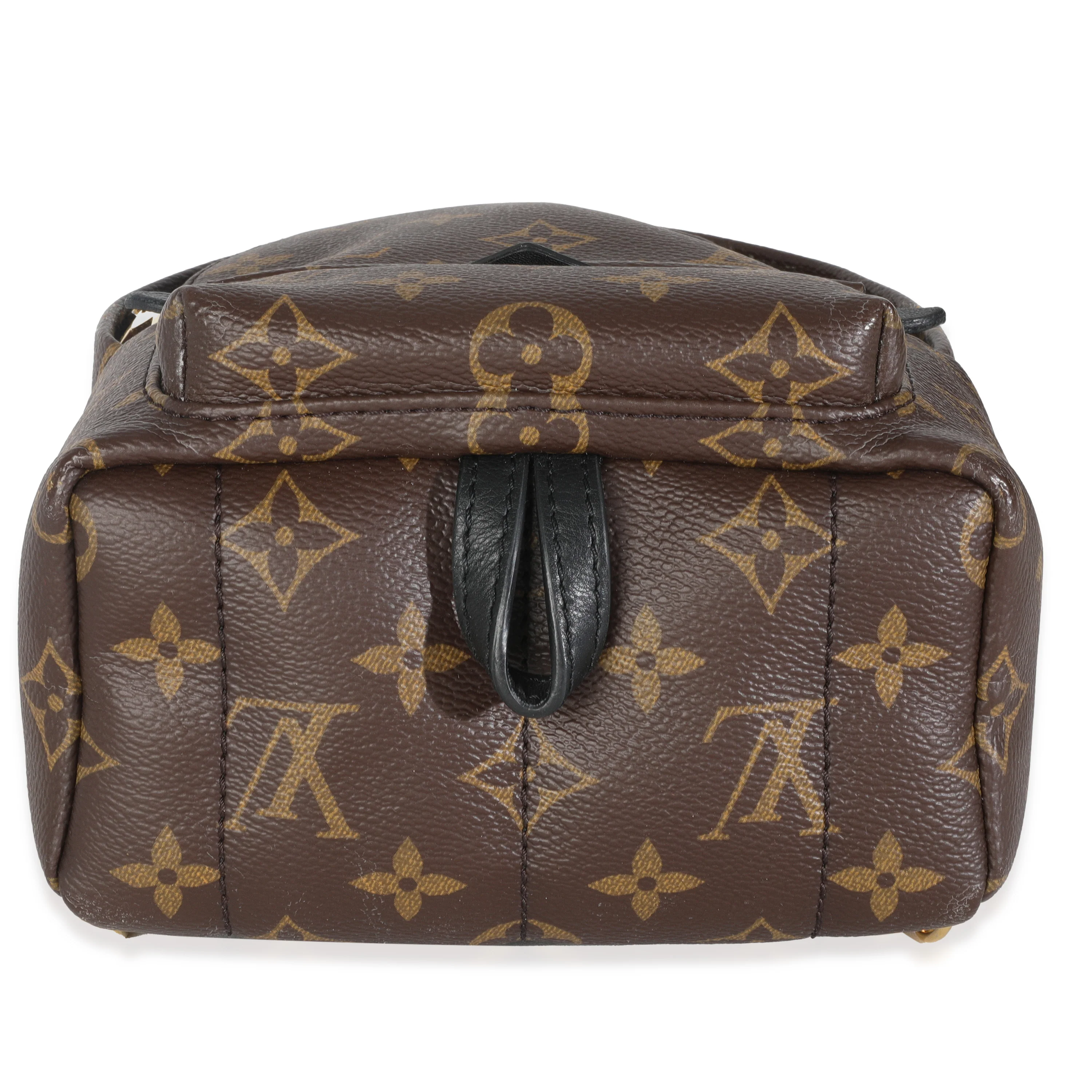 Monogram Canvas Mini Palm Springs - Image 5