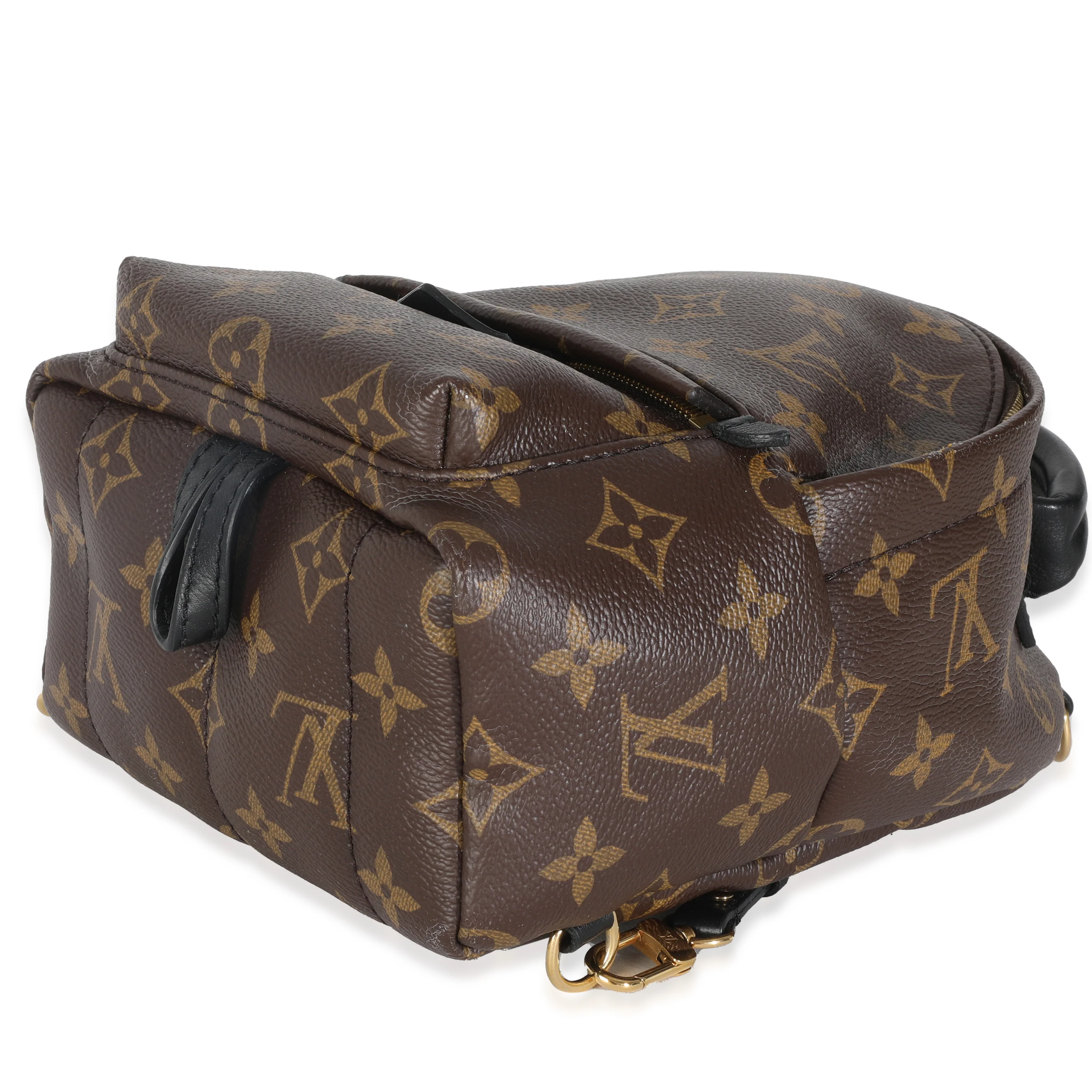 Monogram Canvas Mini Palm Springs - Image 7