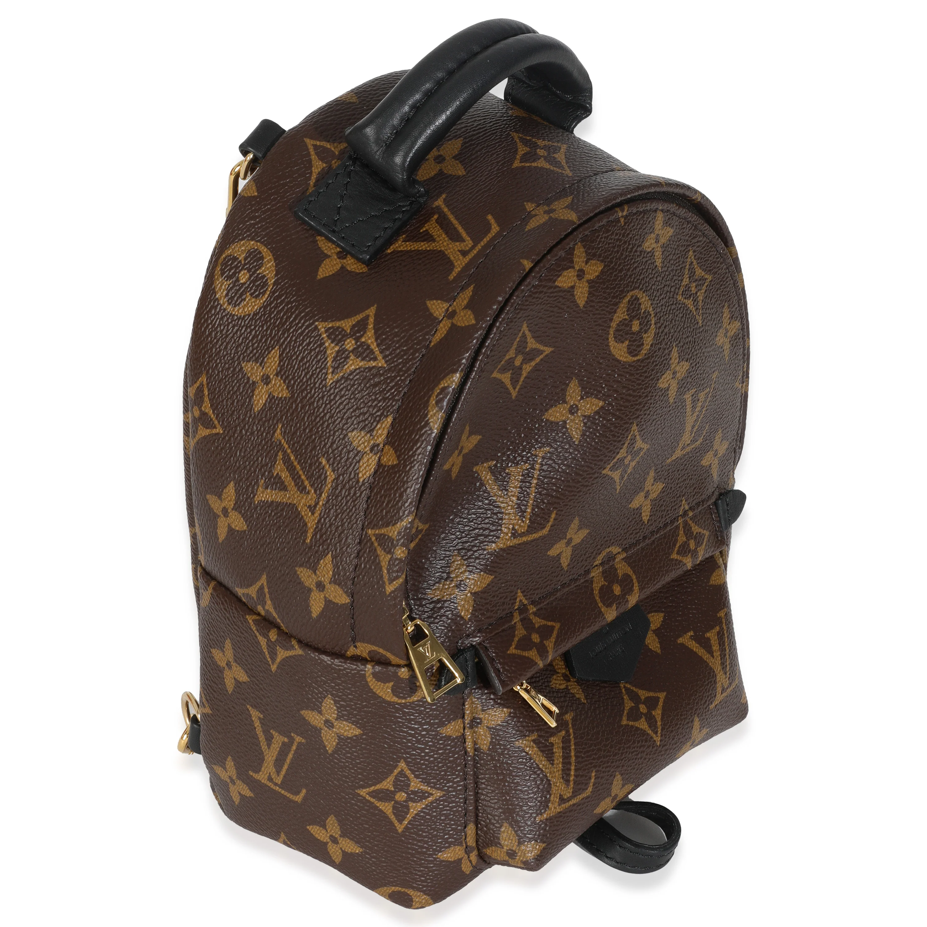Monogram Canvas Mini Palm Springs Backpack - Image 3