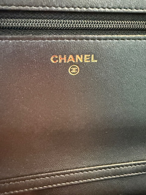 Dark Grey Iridescent Quilted Lambskin Pearl Wallet On Chain - Image 11