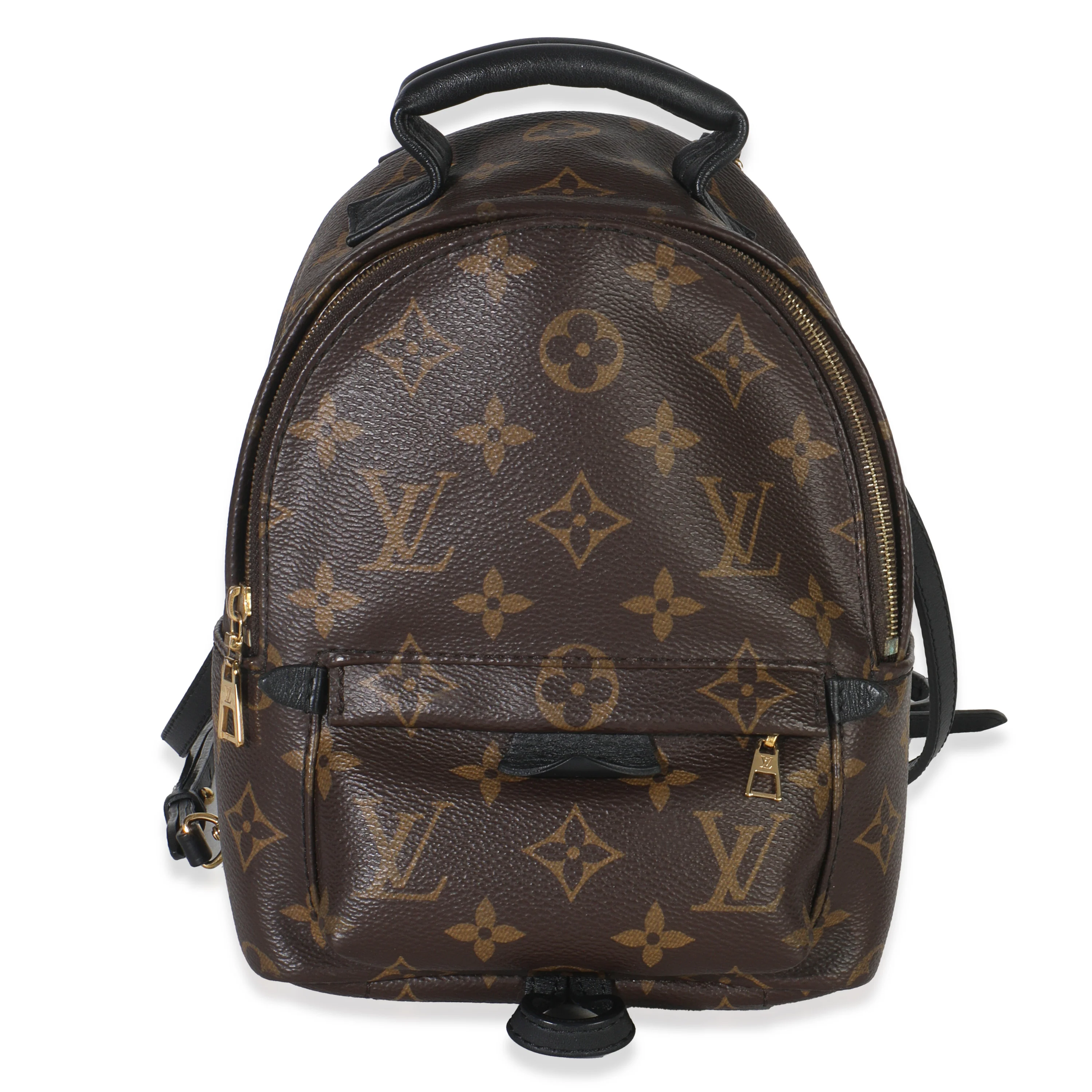 Monogram Canvas Mini Palm Springs