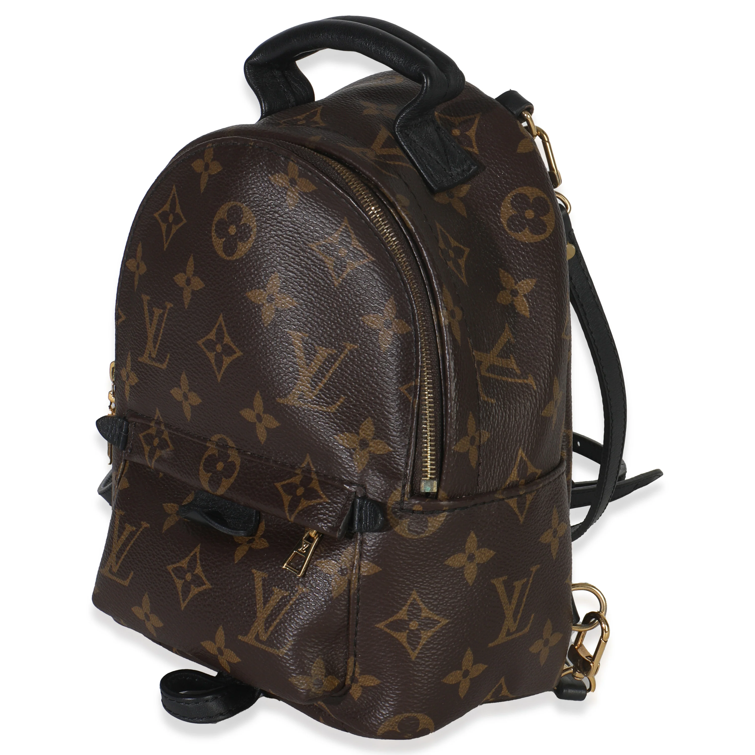 Monogram Canvas Mini Palm Springs - Image 2