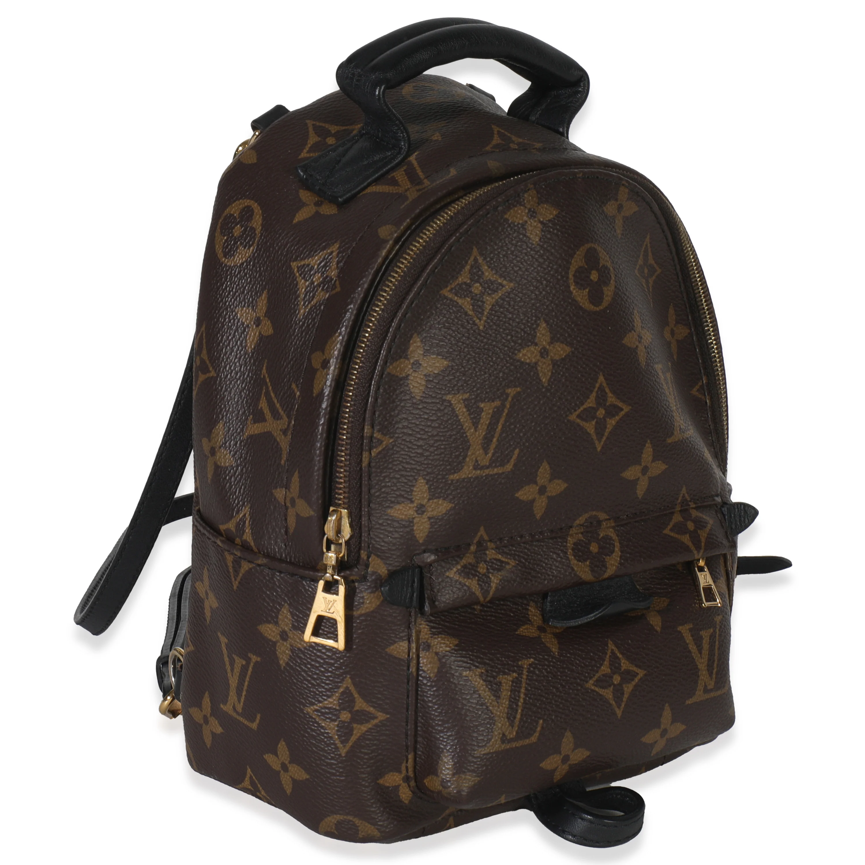 Monogram Canvas Mini Palm Springs - Image 3