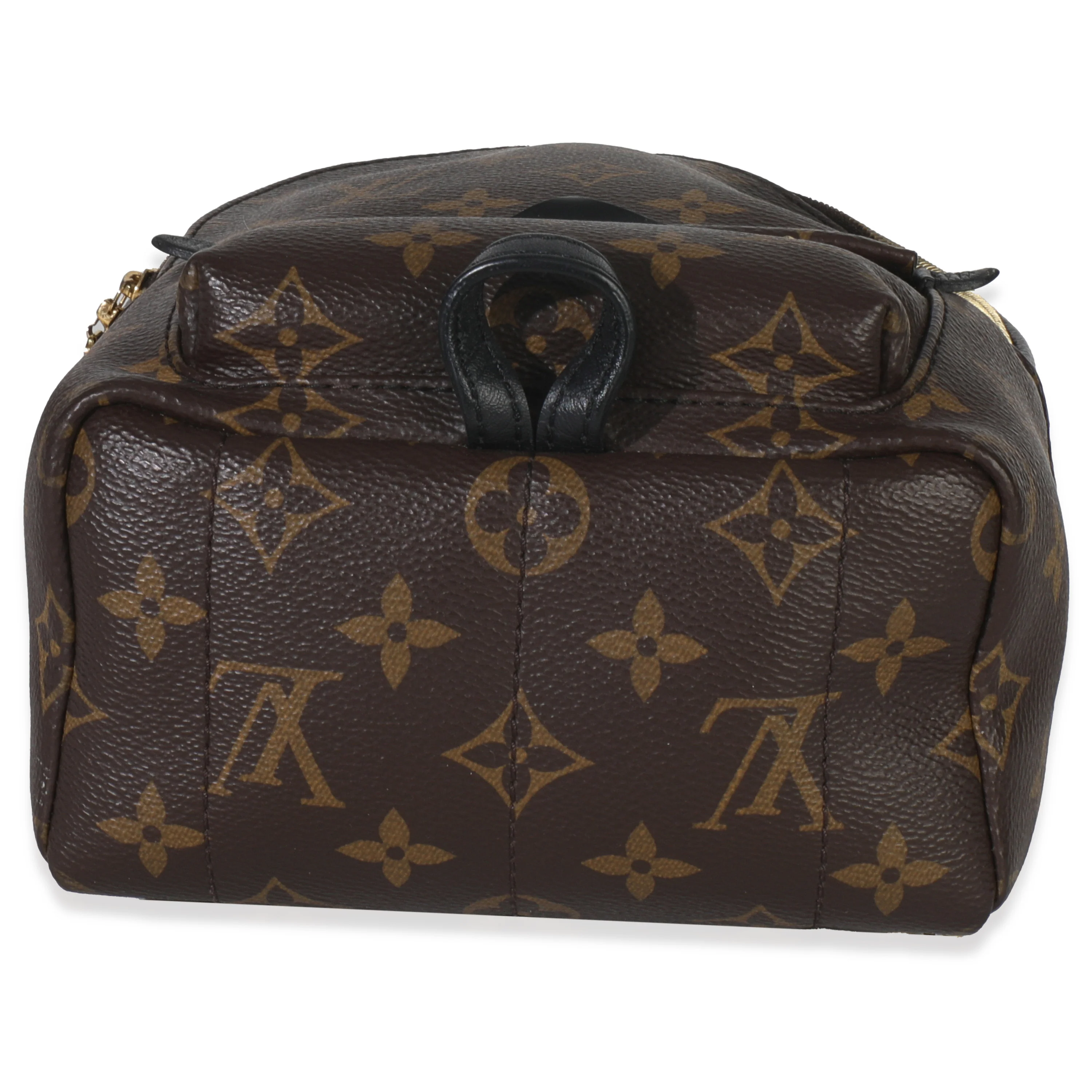 Monogram Canvas Mini Palm Springs - Image 5