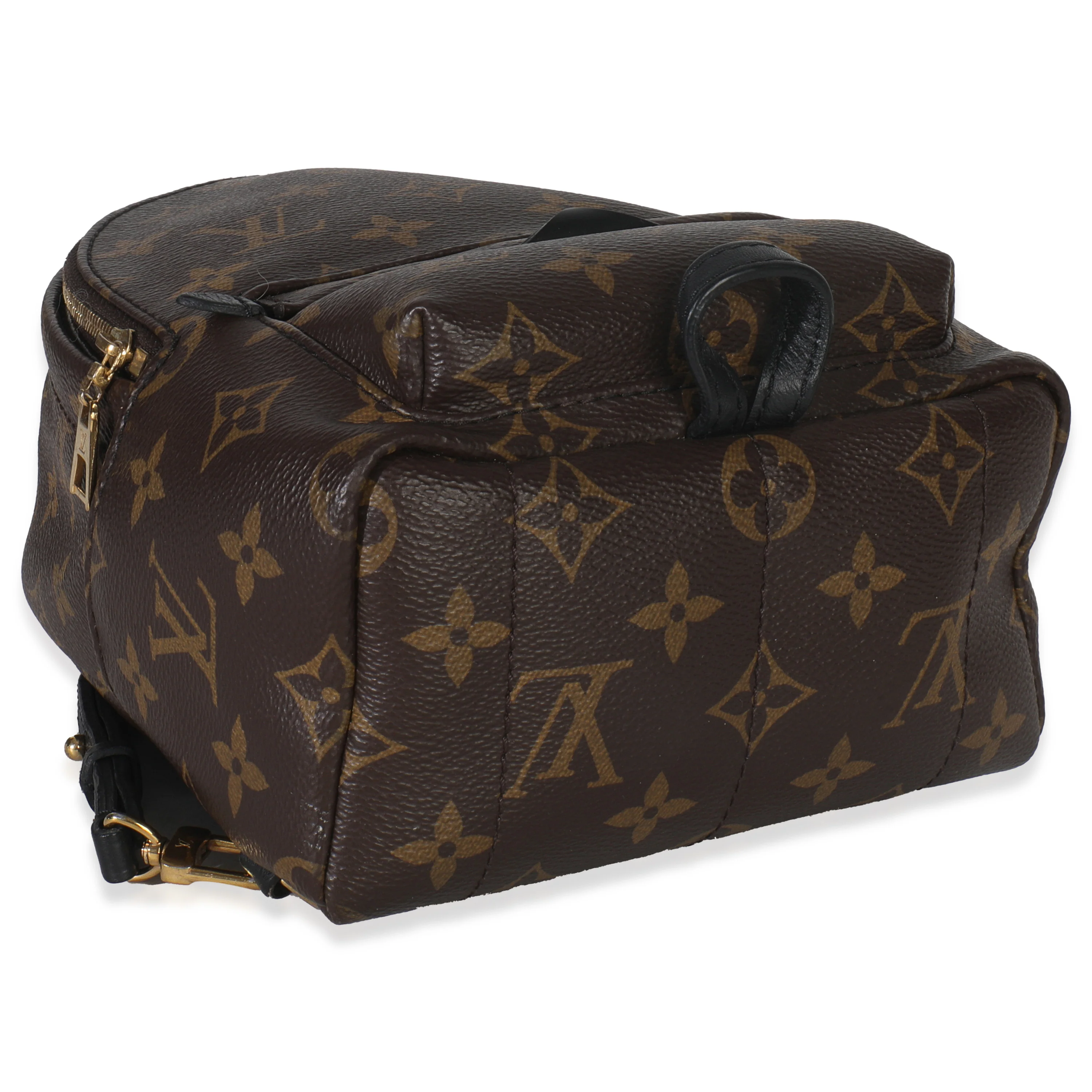 Monogram Canvas Mini Palm Springs - Image 6