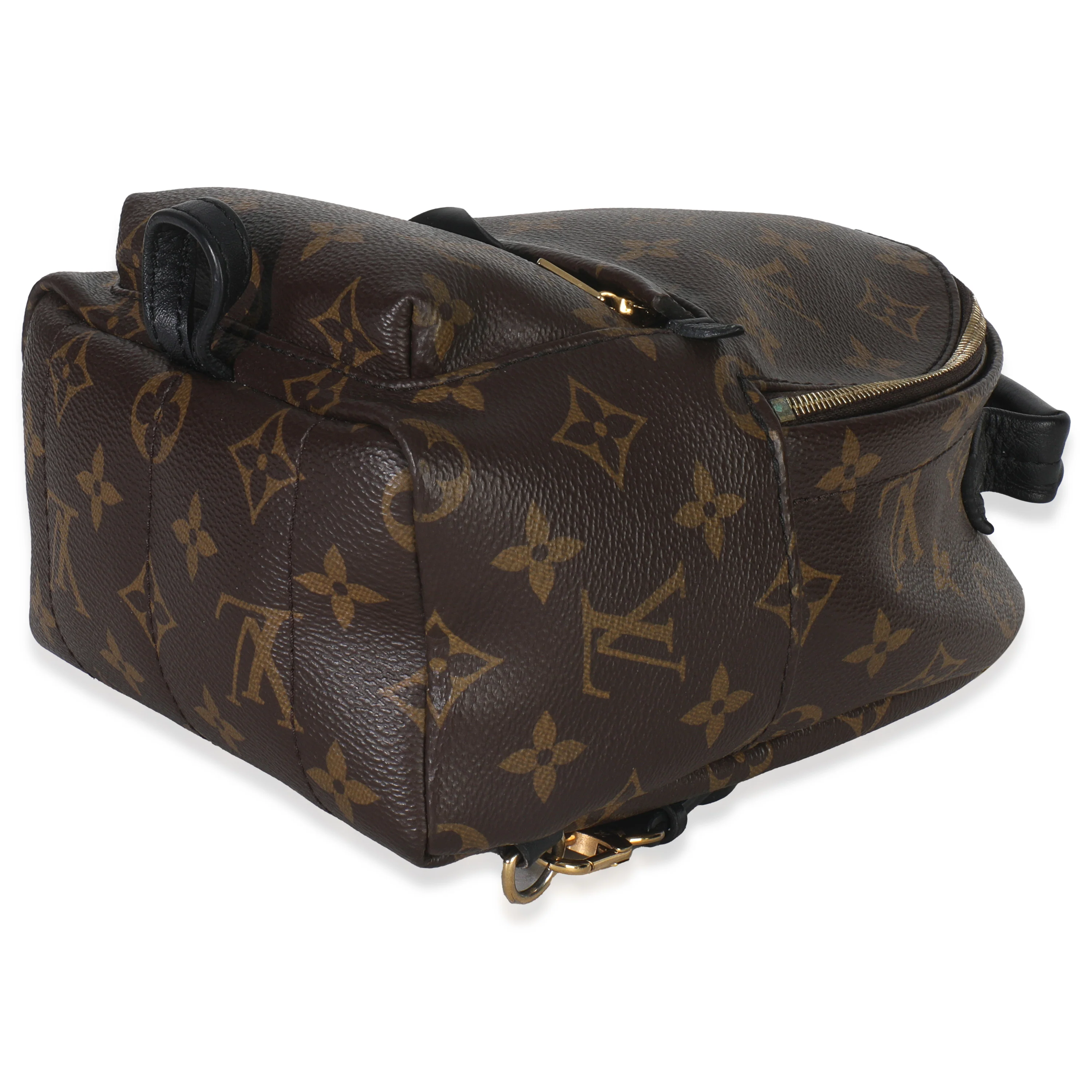 Monogram Canvas Mini Palm Springs - Image 7