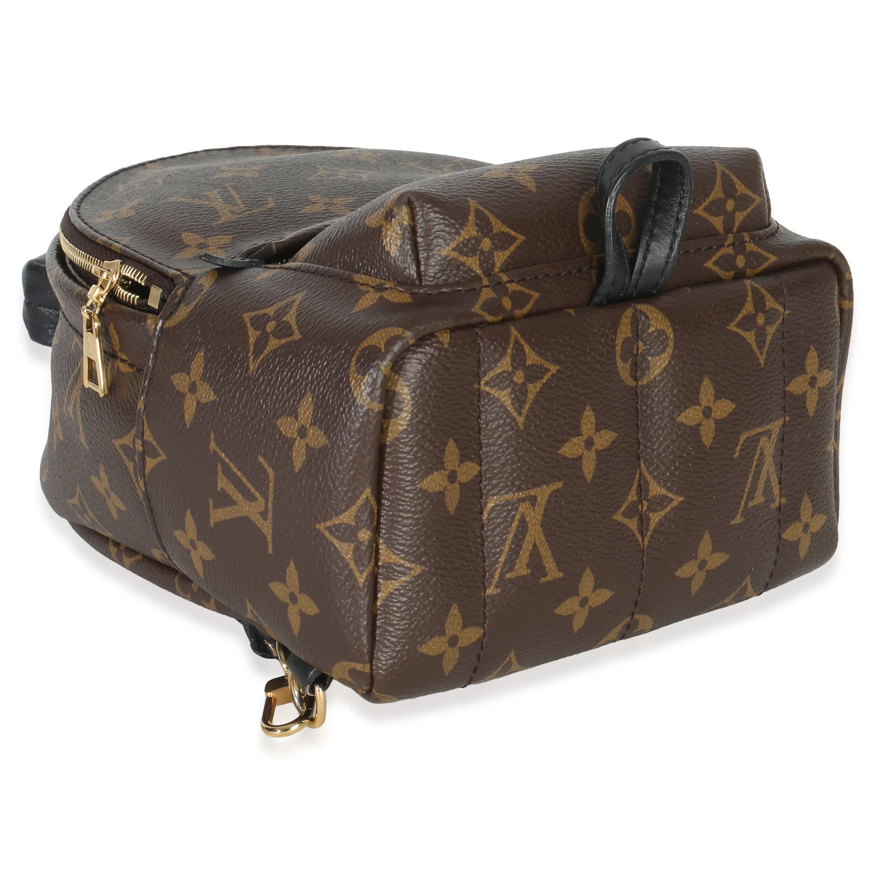 Monogram Canvas Mini Palm Springs - Image 8